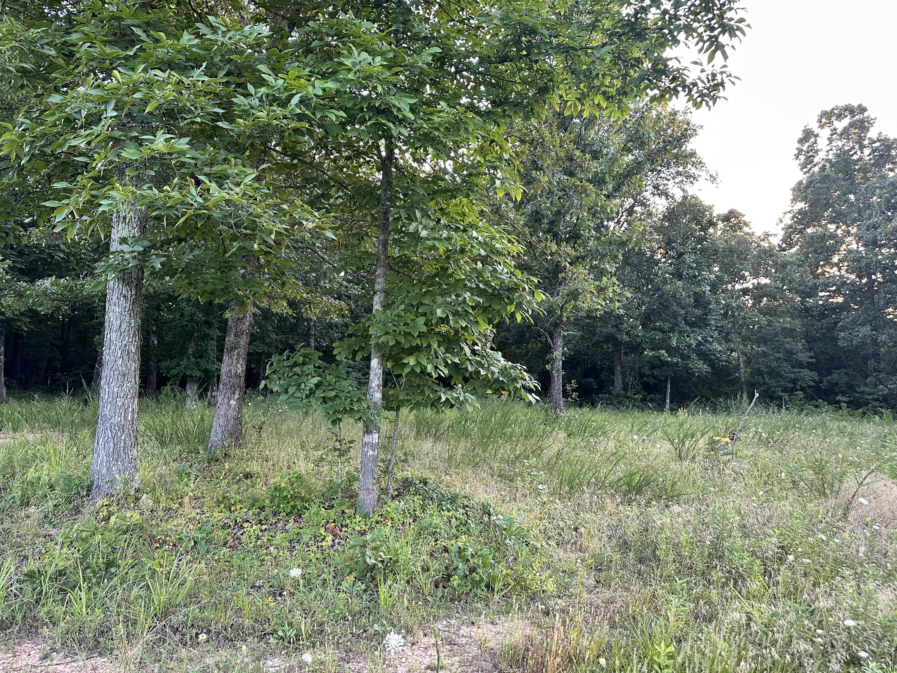 000 County Road 304 Property Photo 27