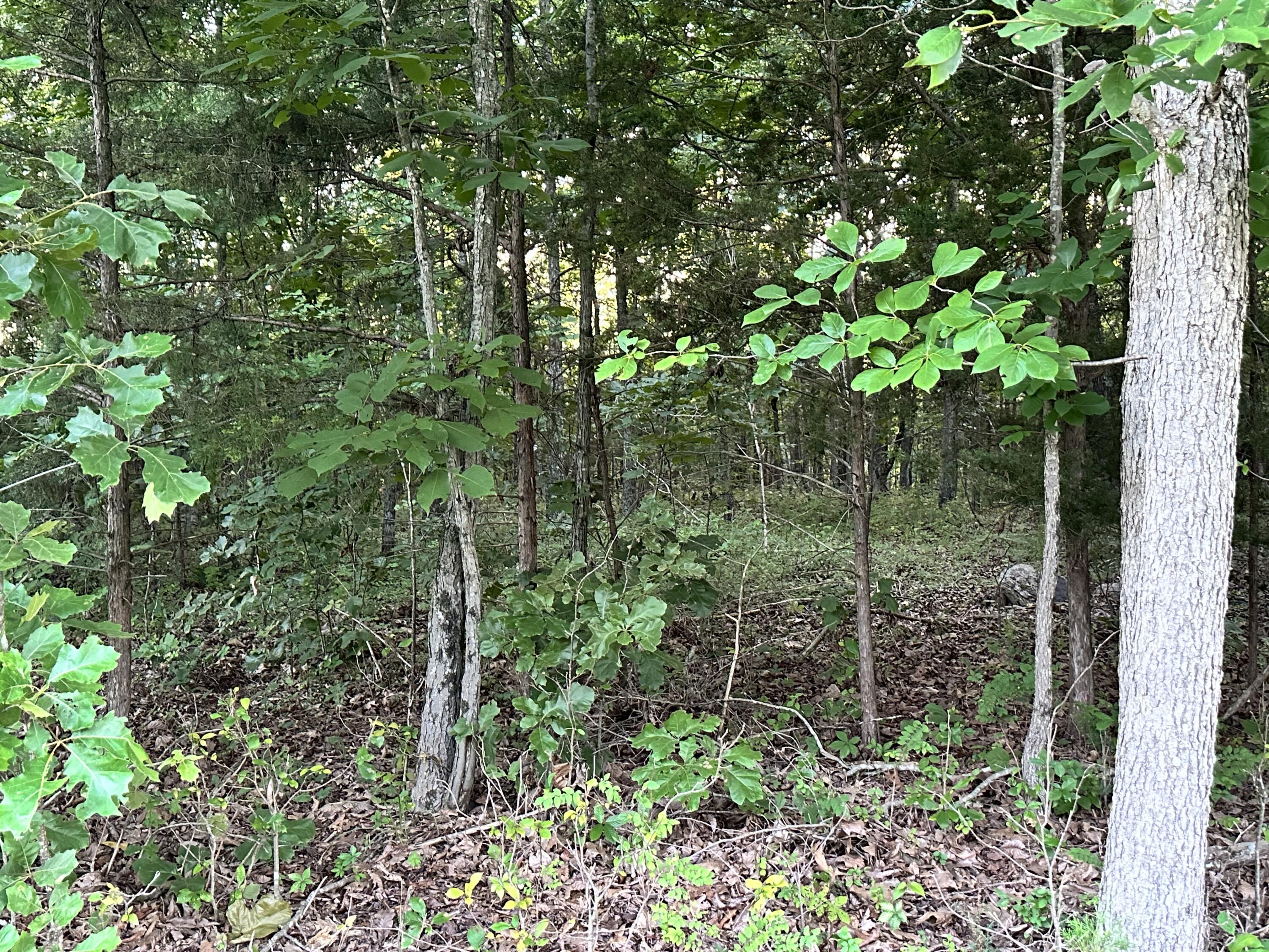 000 County Road 304 Property Photo 28