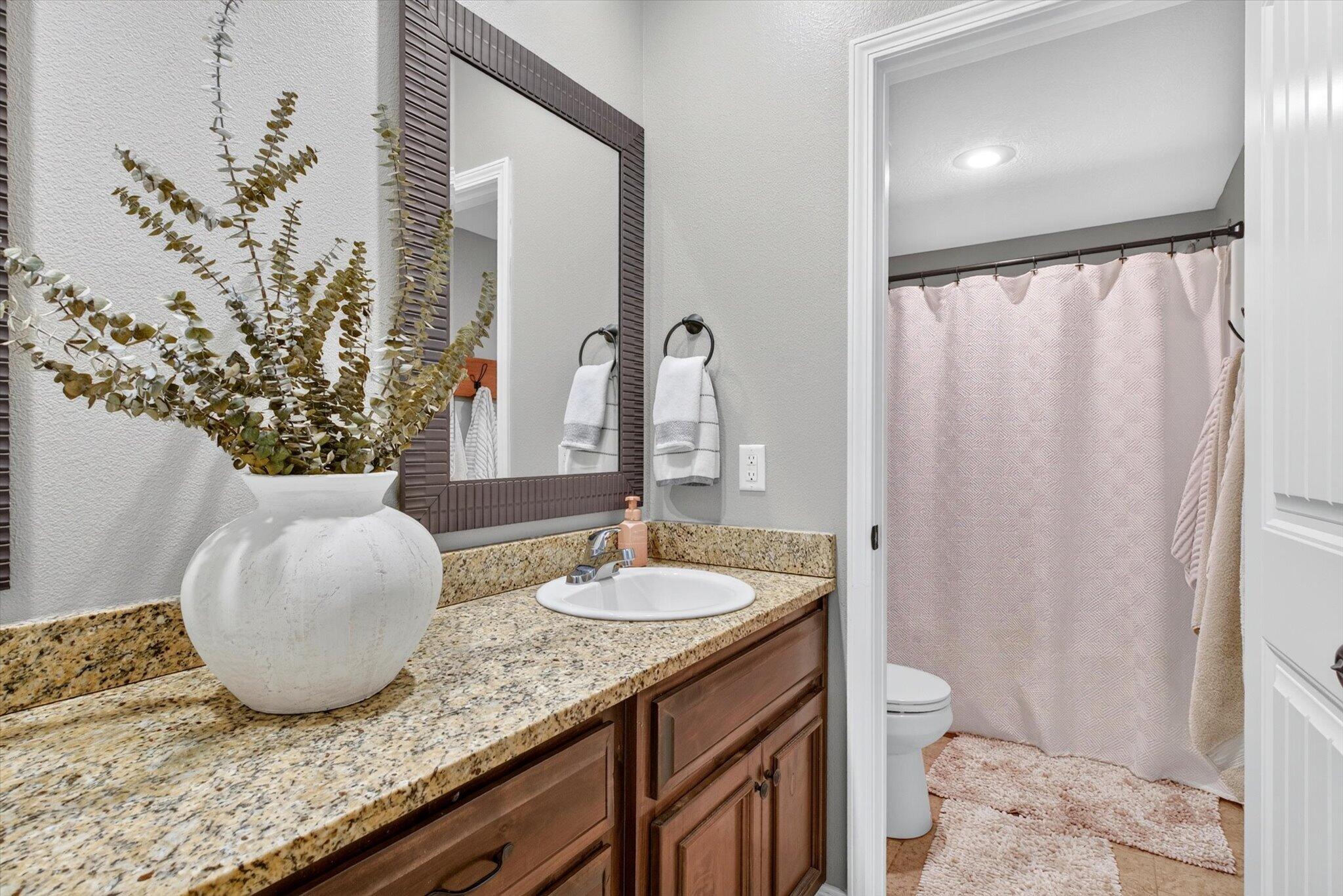 1007 East Highview Drive Property Photo 48