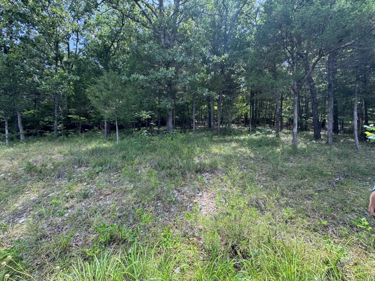 24 Appaloosa Trail (lot 24) Property Photo 4
