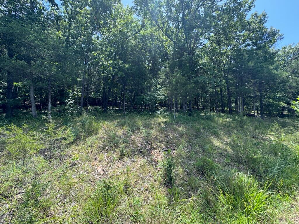 24 Appaloosa Trail (lot 24) Property Photo 5