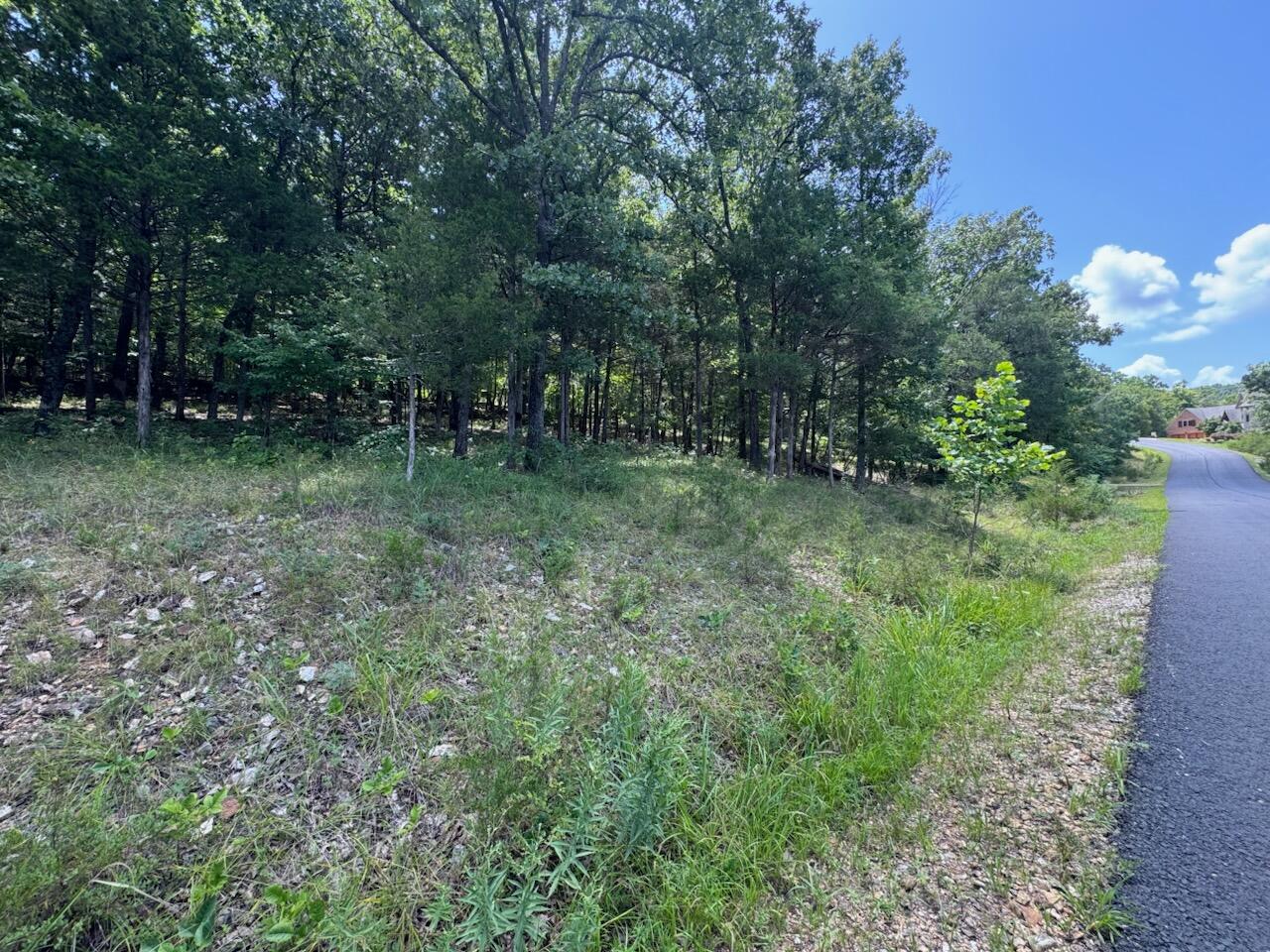 24 Appaloosa Trail (lot 24) Property Photo 6
