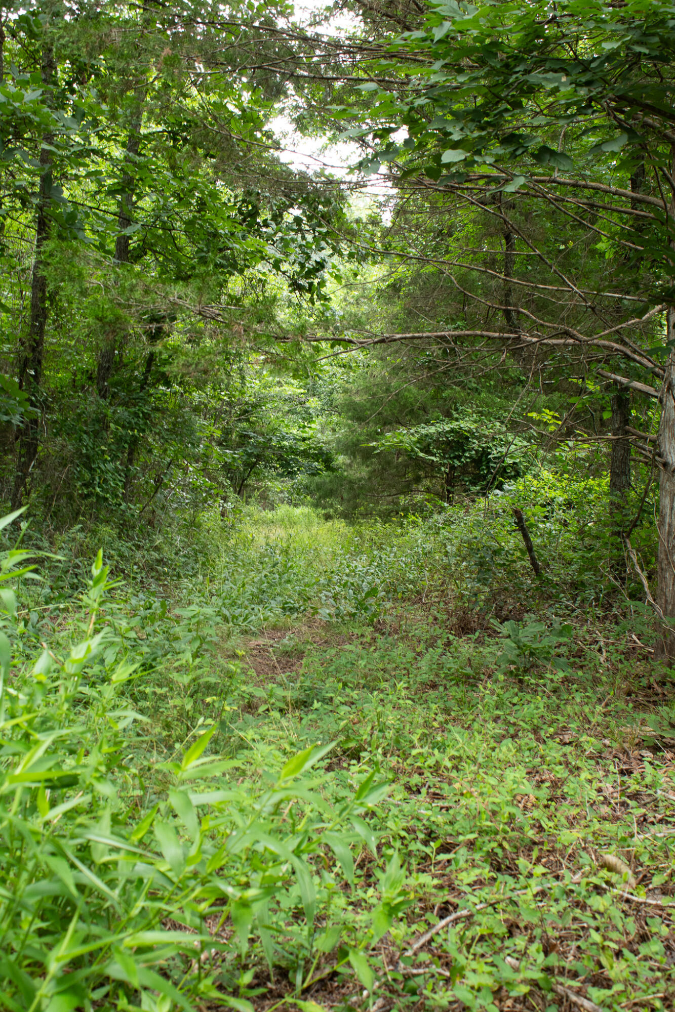 3899 County Road 304 Property Photo 37