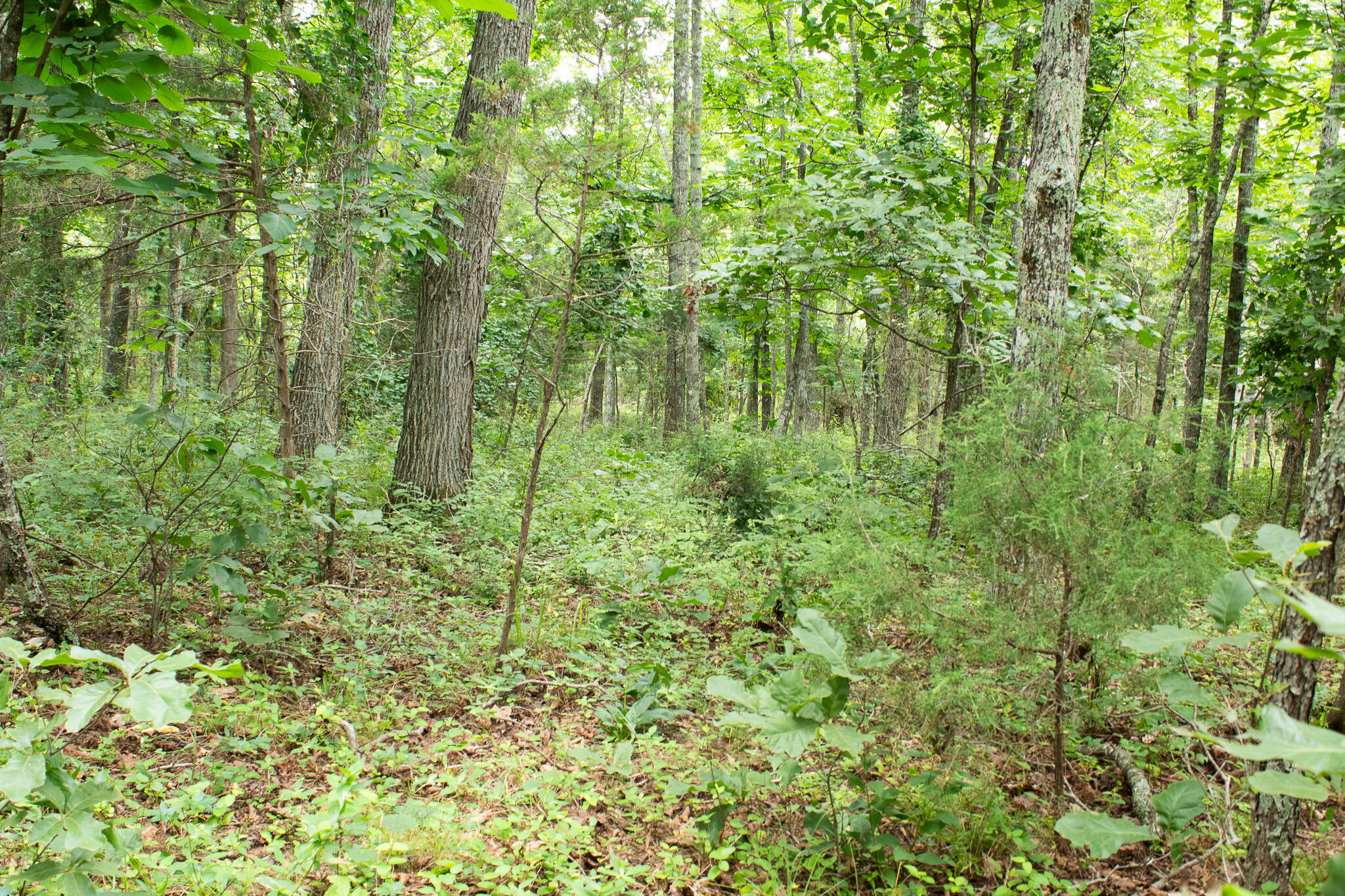 3899 County Road 304 Property Photo 38