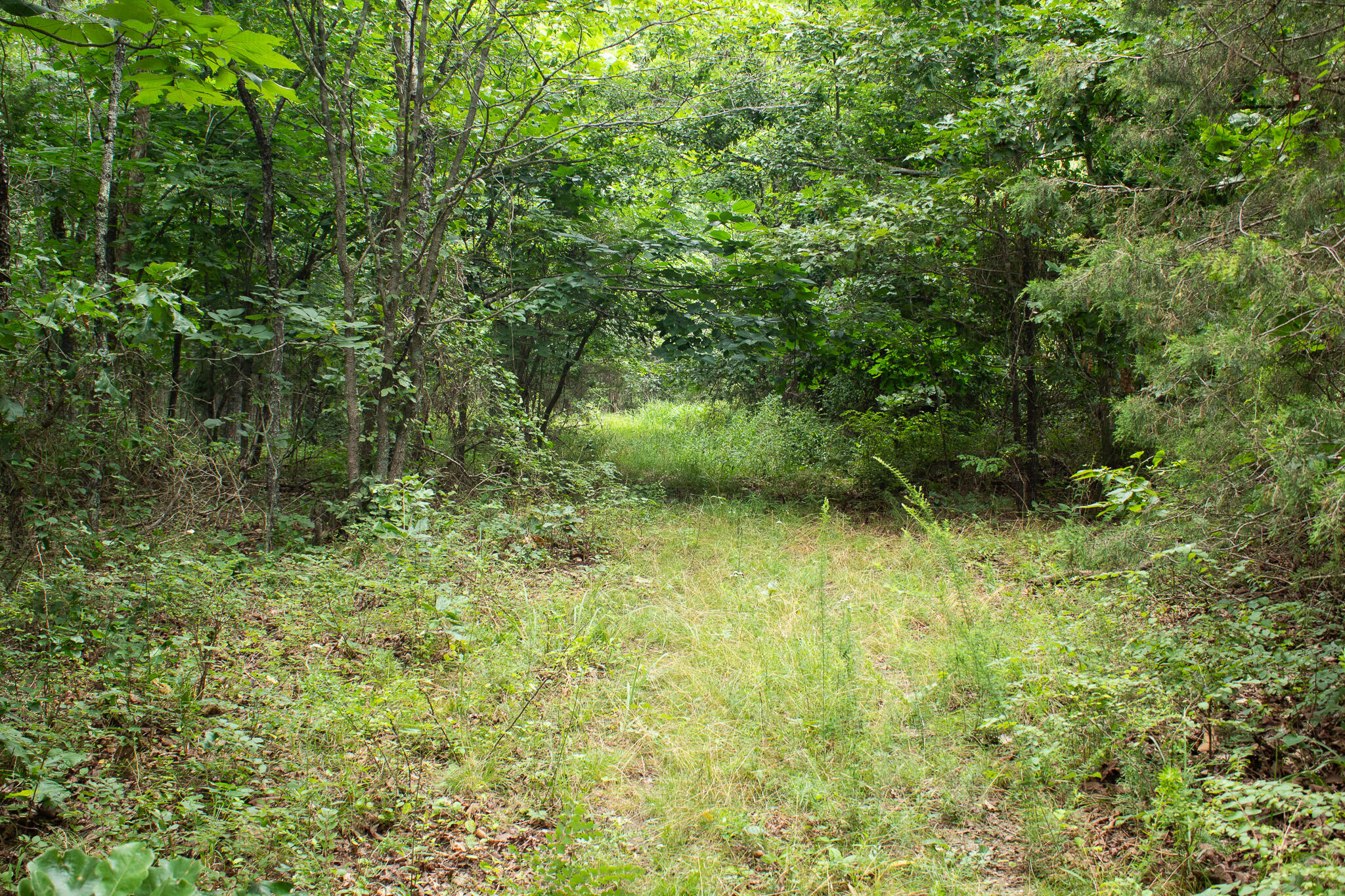 3899 County Road 304 Property Photo 39