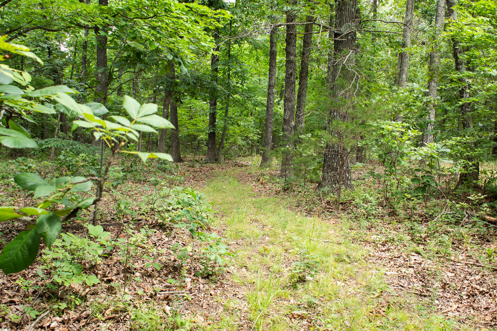 3899 County Road 304 Property Photo 40