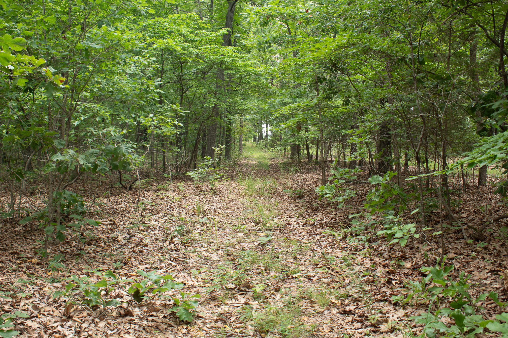 3899 County Road 304 Property Photo 42
