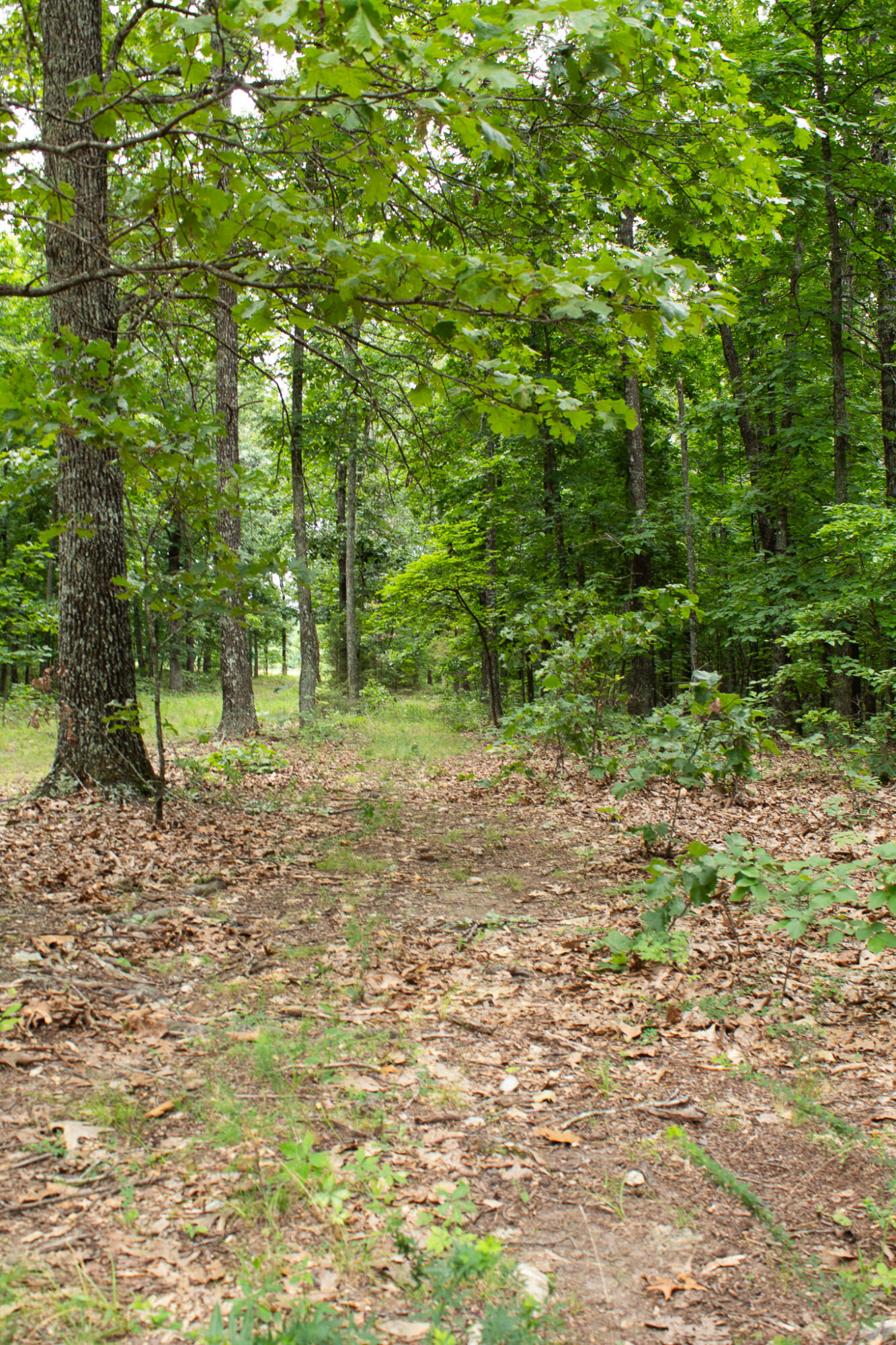3899 County Road 304 Property Photo 45