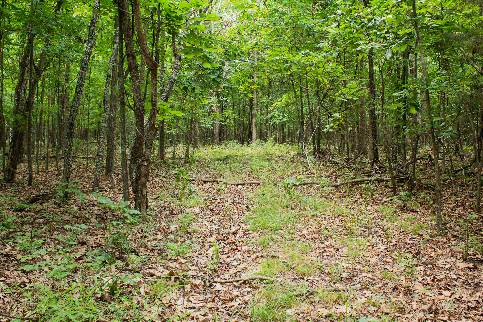 3899 County Road 304 Property Photo 47