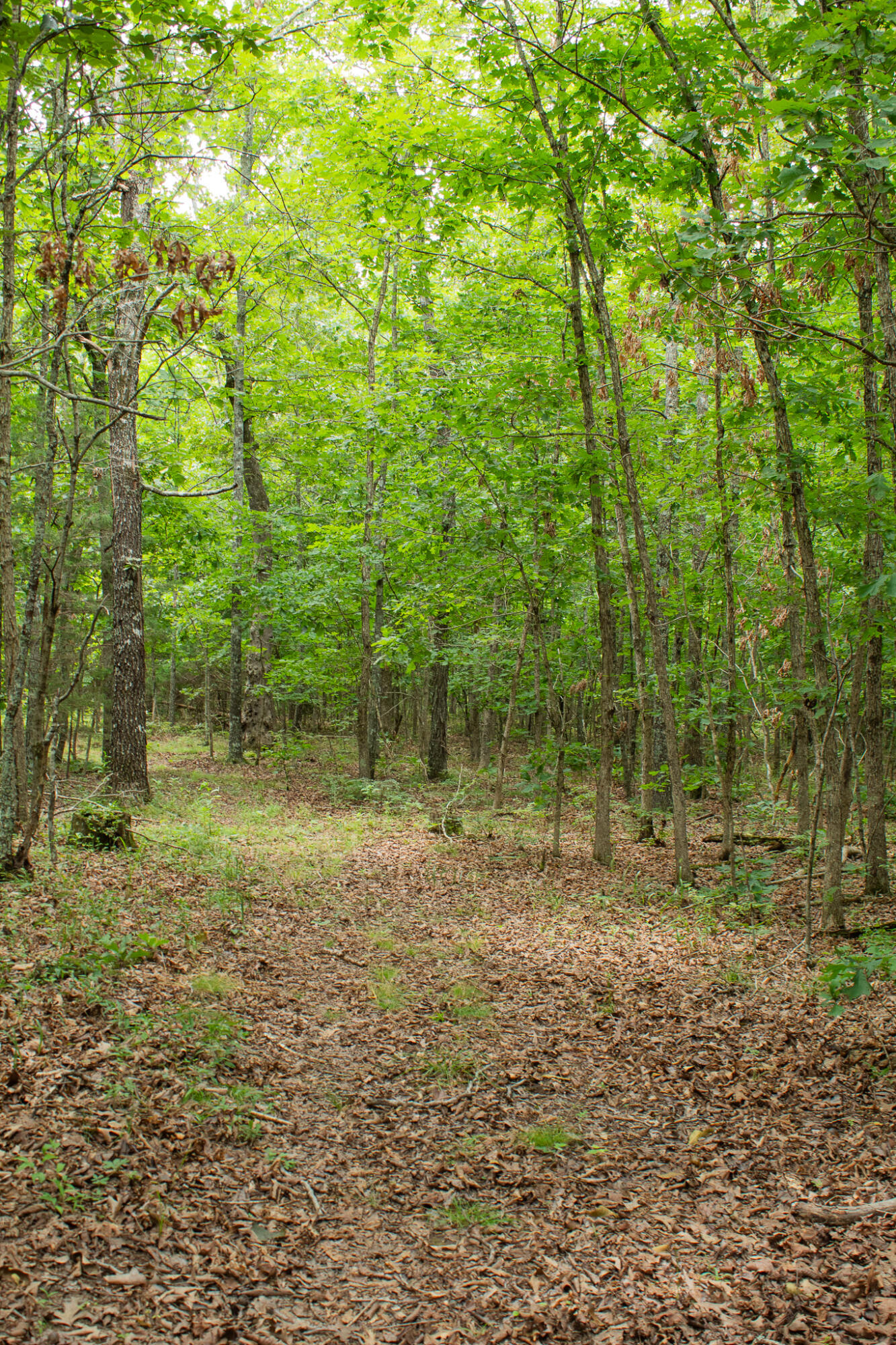 3899 County Road 304 Property Photo 48