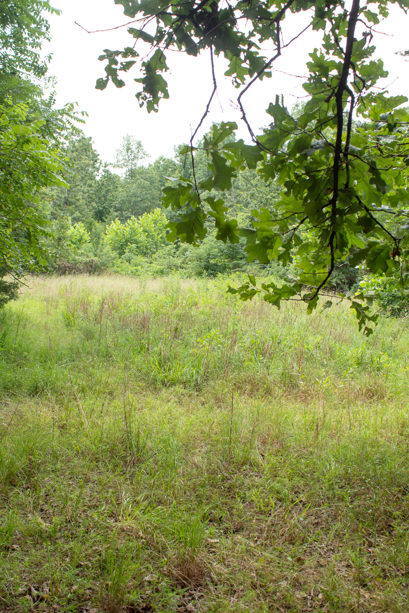 3899 County Road 304 Property Photo 49
