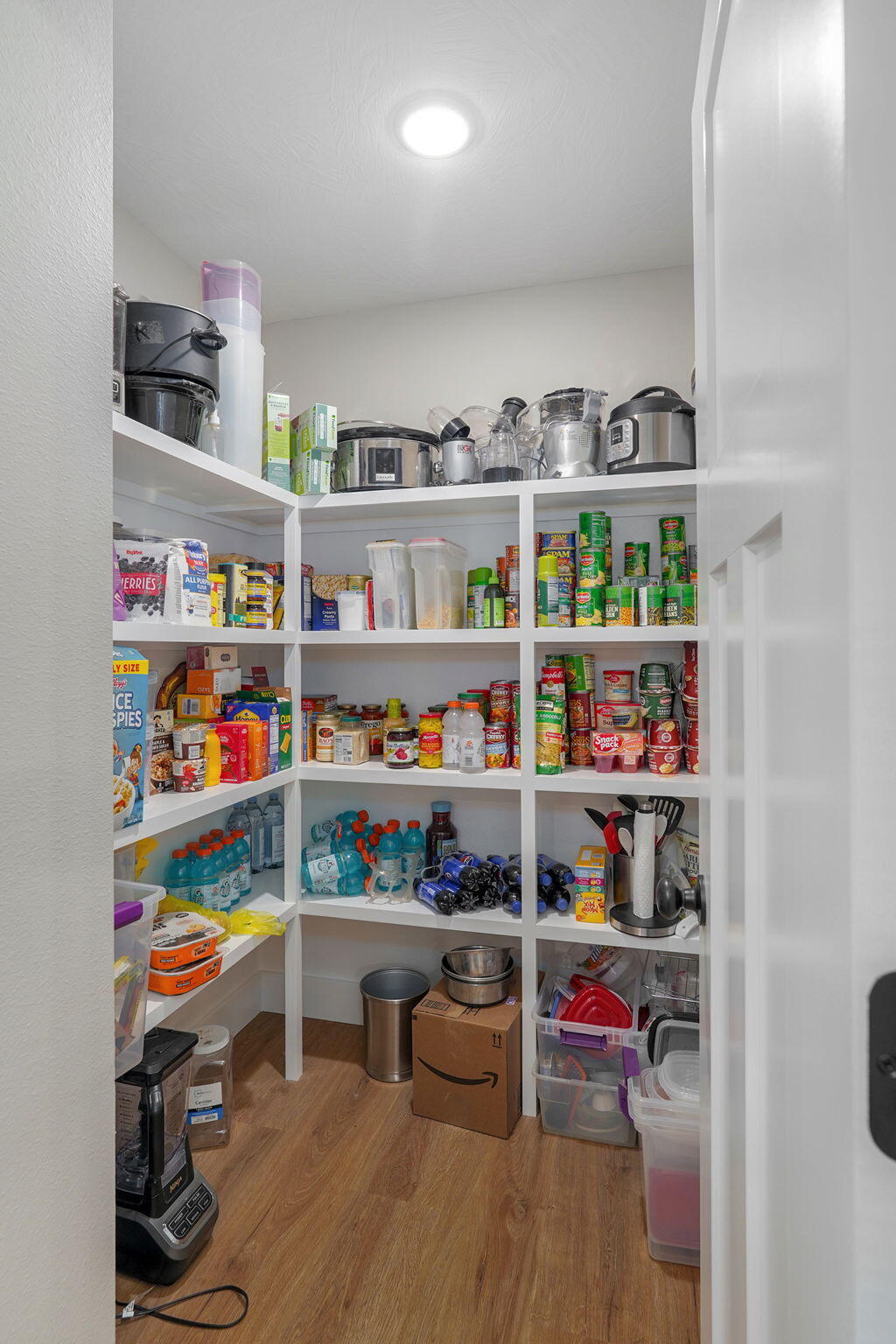 385 Plumtree Drive Property Photo 18