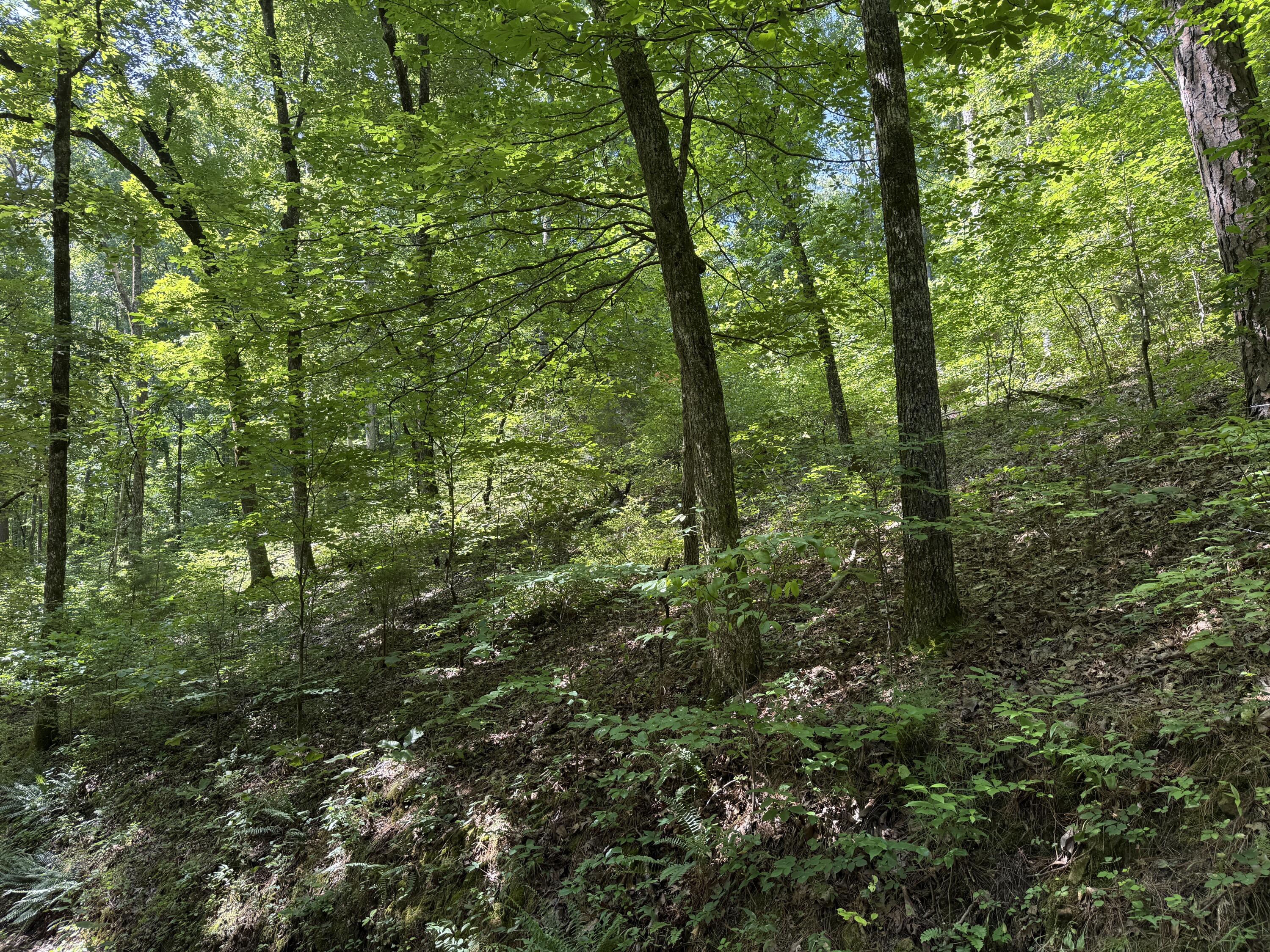 000 County Road 179 Property Photo 1