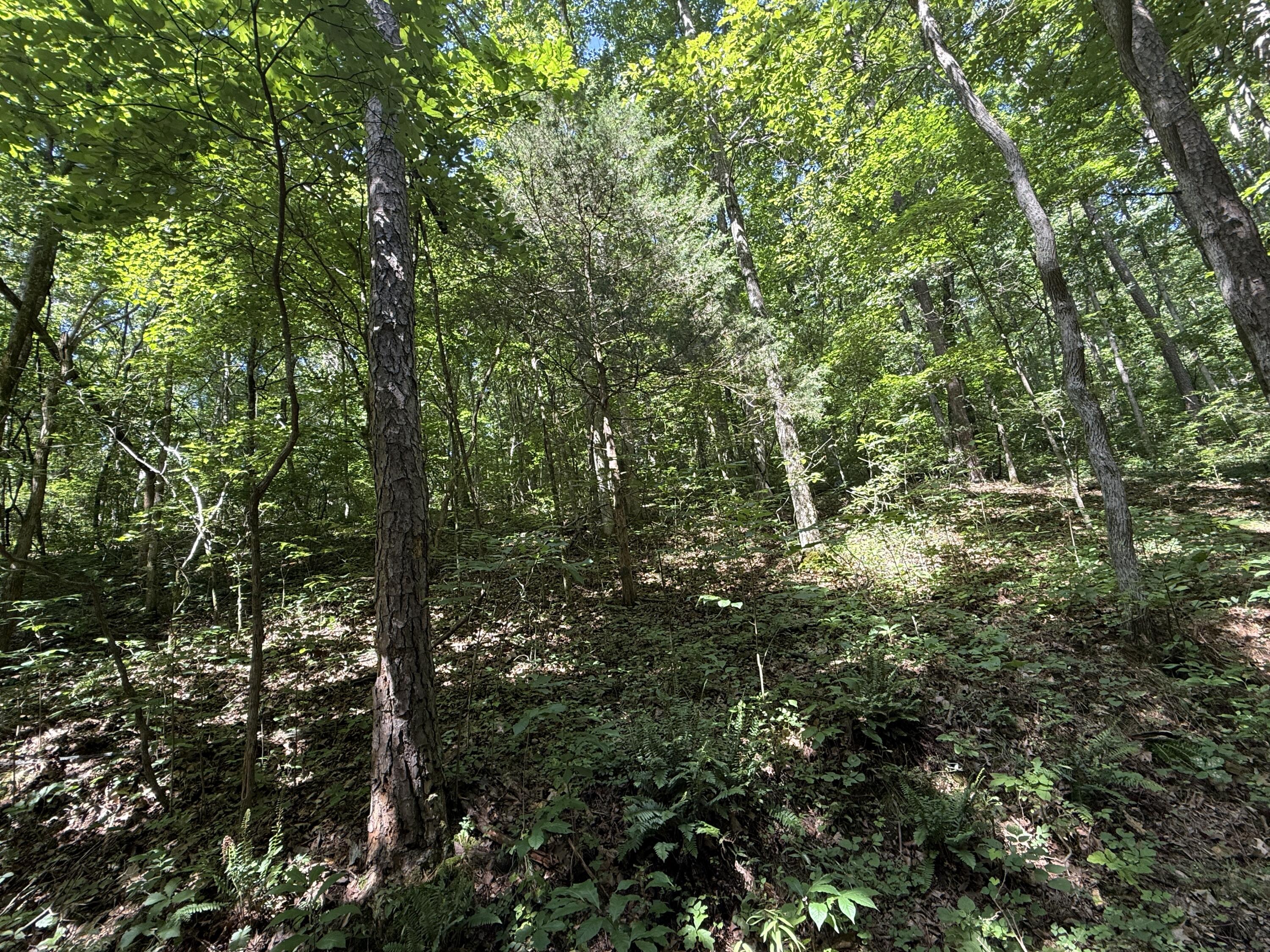 000 County Road 179 Property Photo 2
