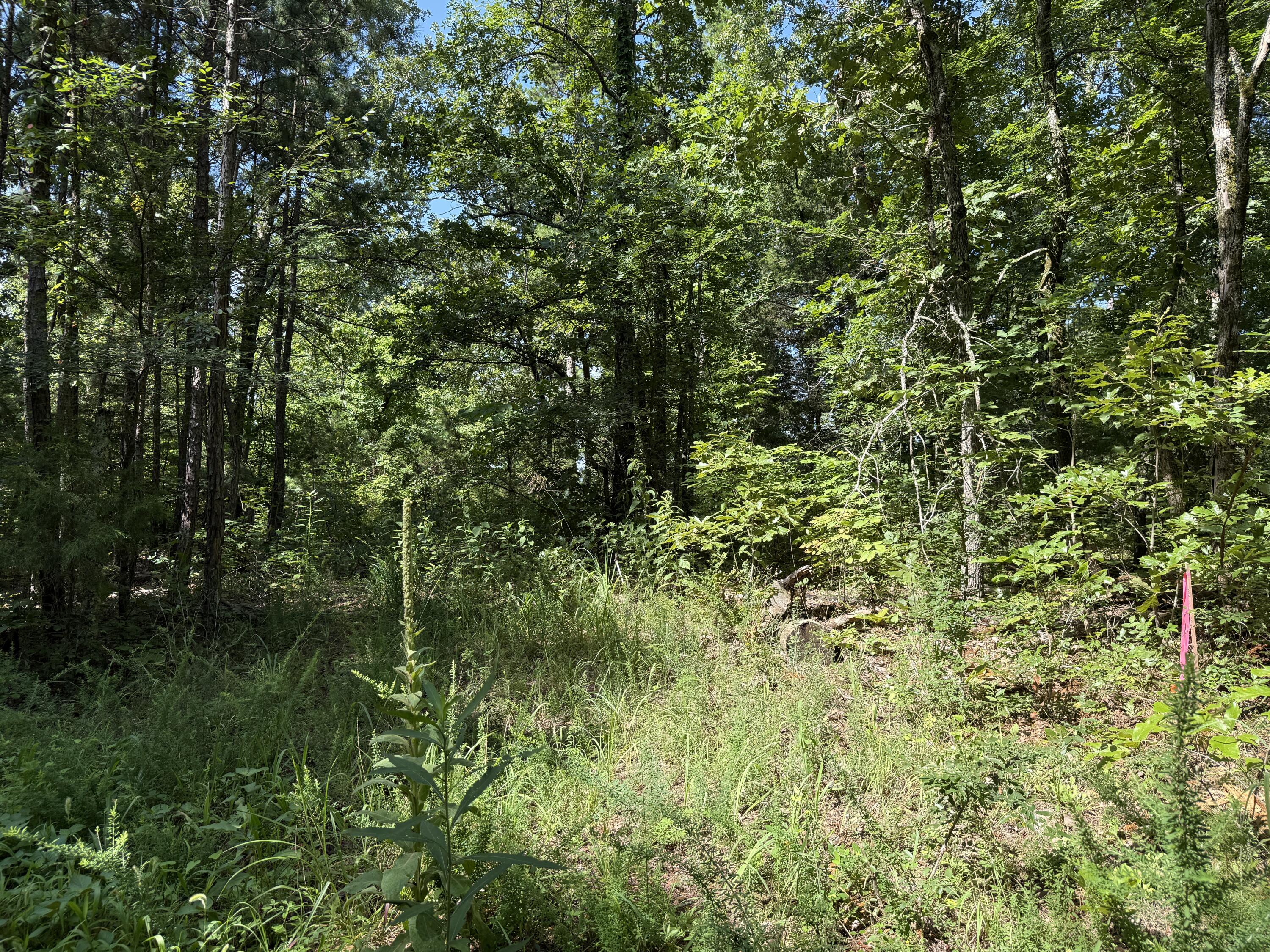 000 County Road 179 Property Photo 4