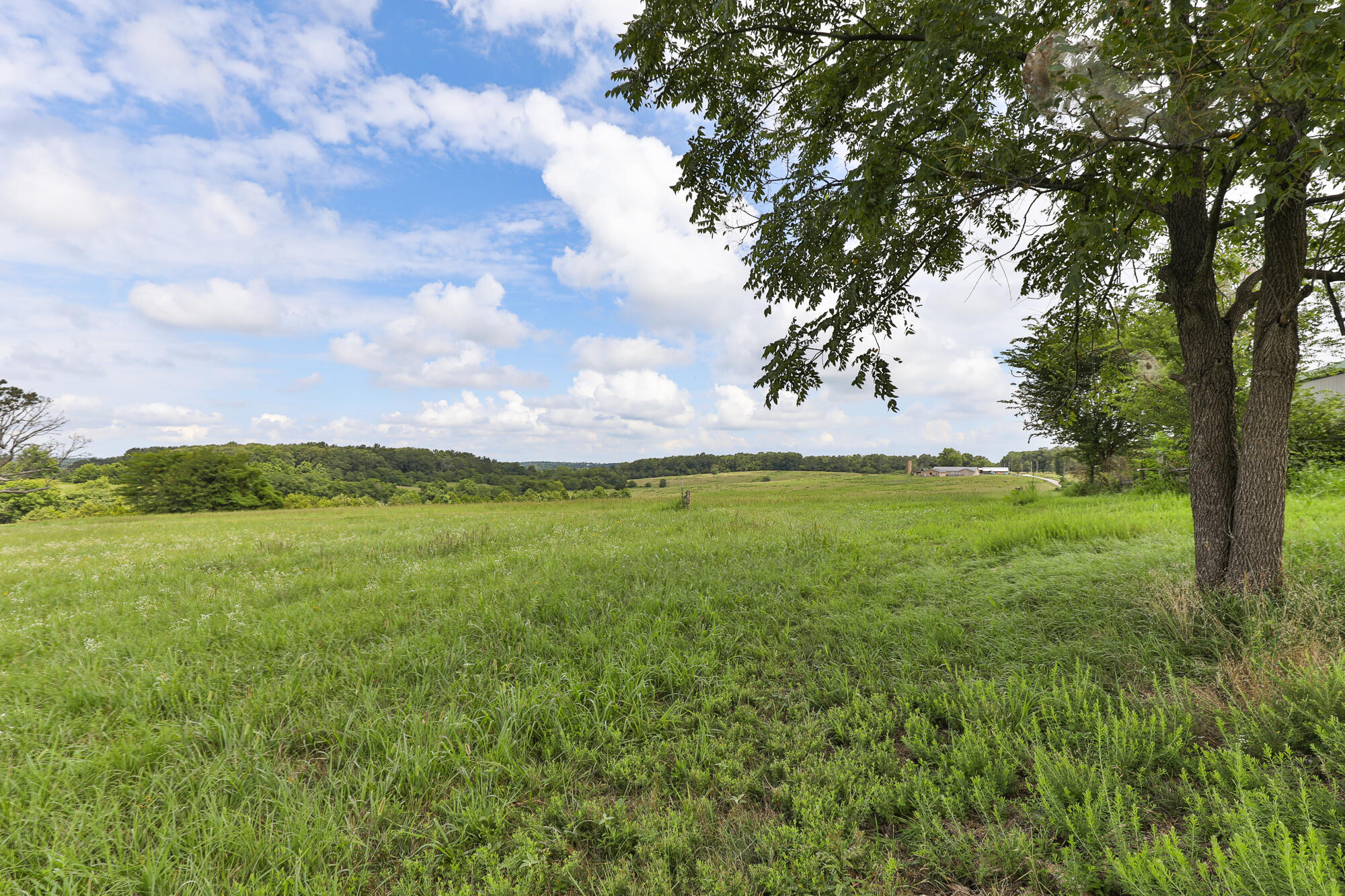 125 Eastgate Road Property Photo 6