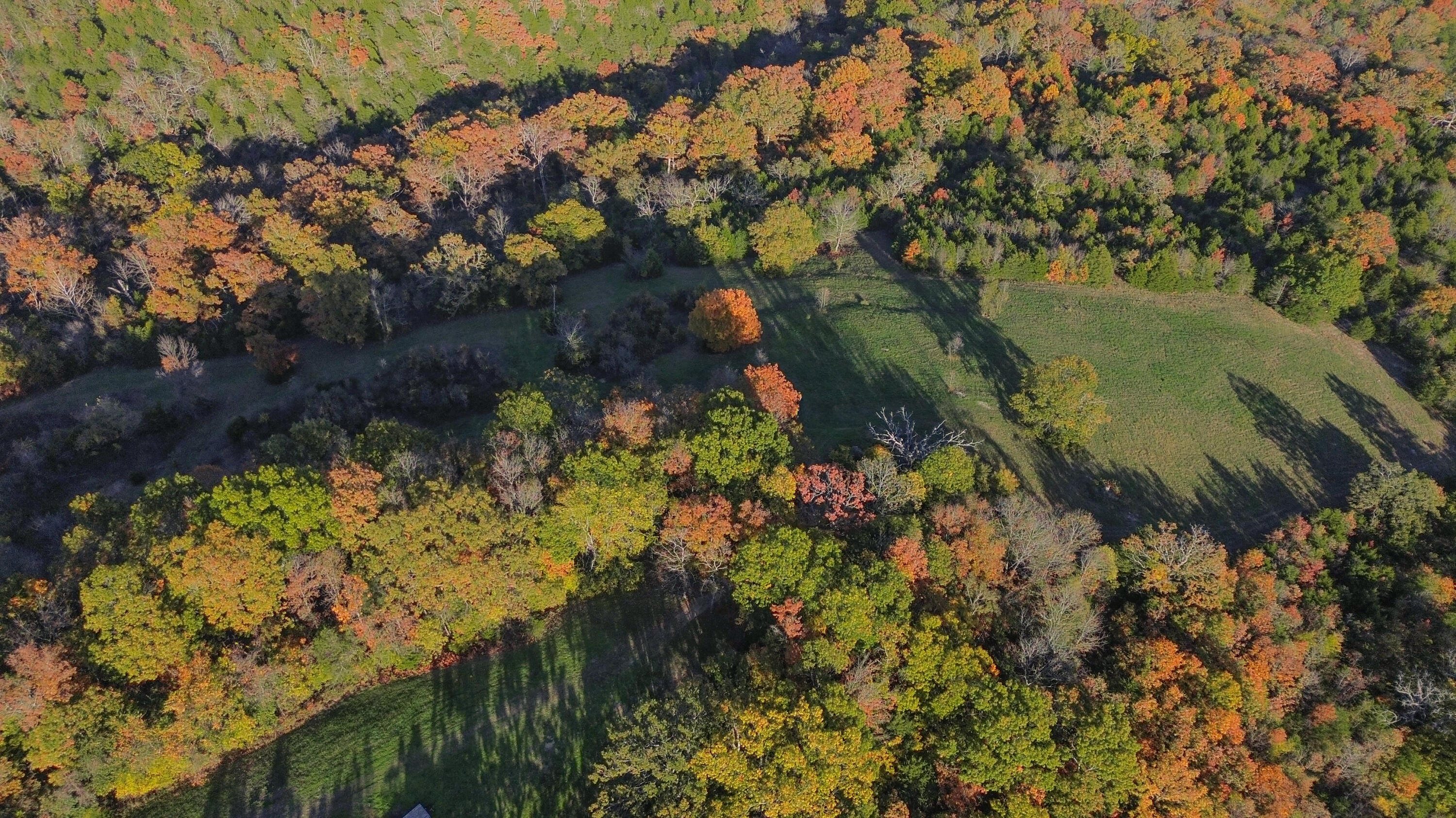 3994 Us Highway 160 Property Photo 3