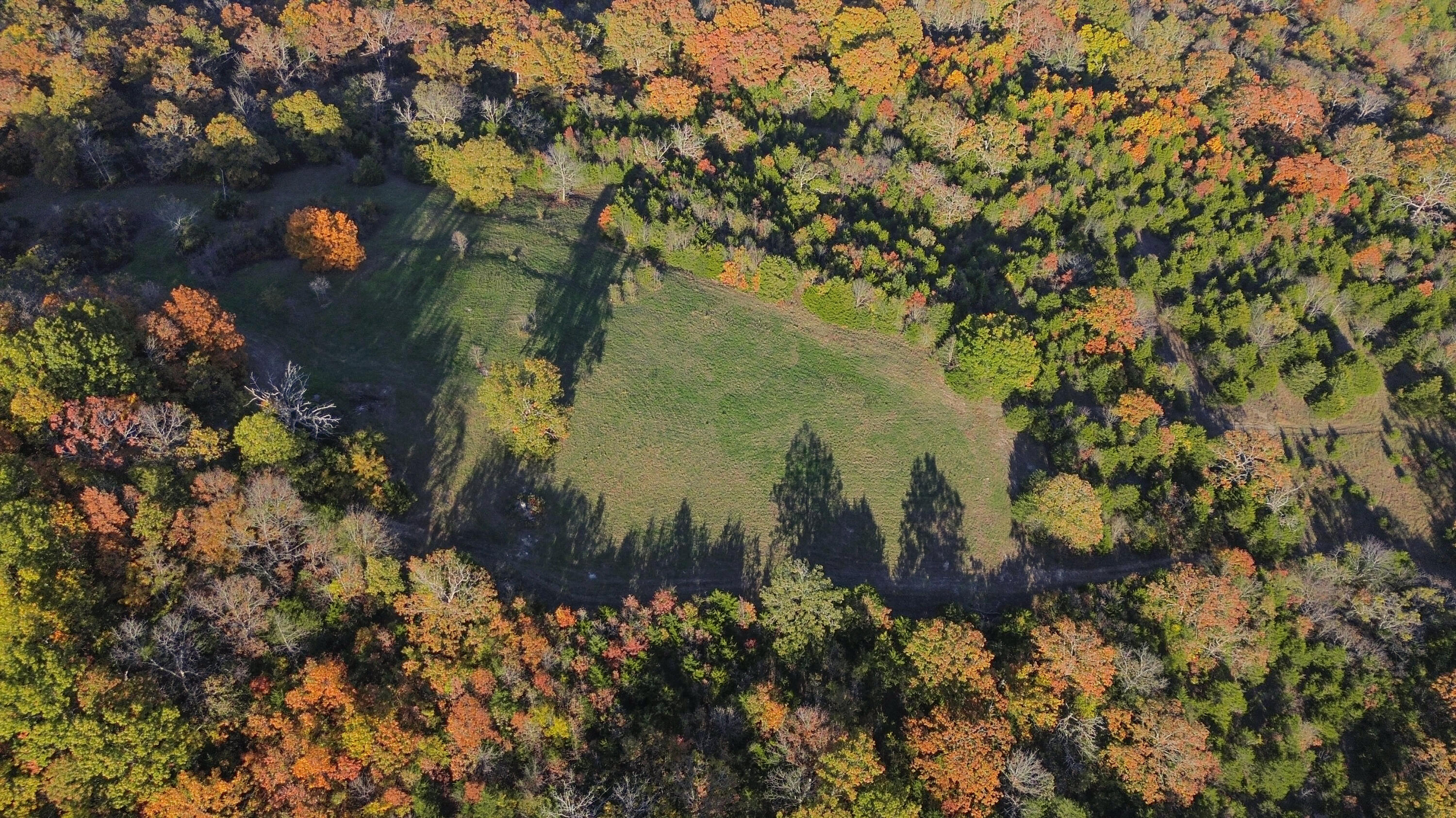3994 Us Highway 160 Property Photo 6