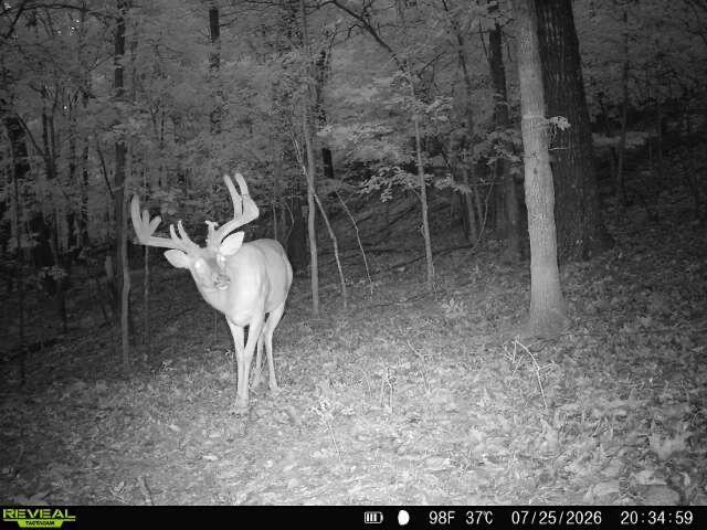121 Legacy Farm Rd Property Photo 4