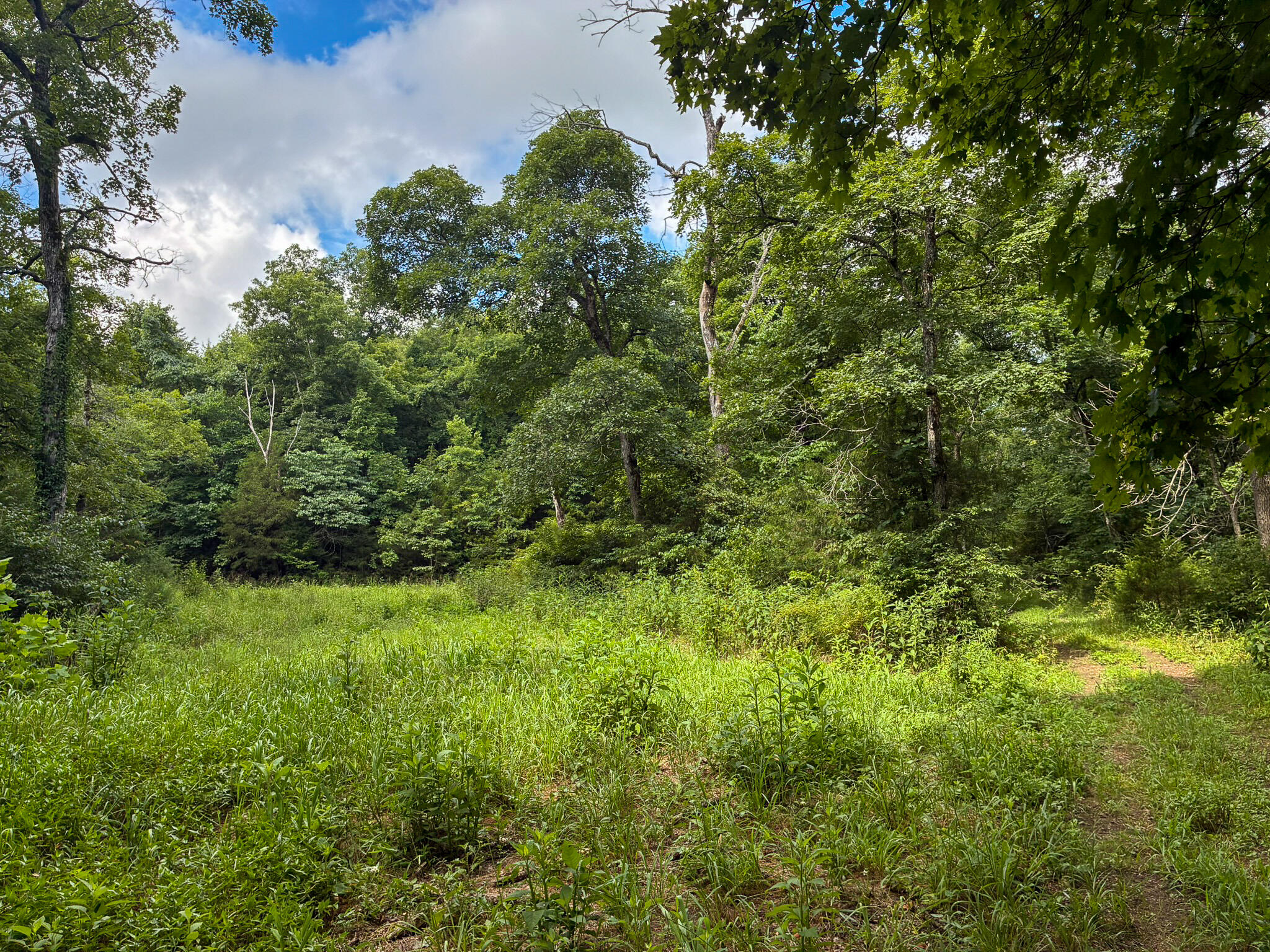 121 Legacy Farm Rd Property Photo 32
