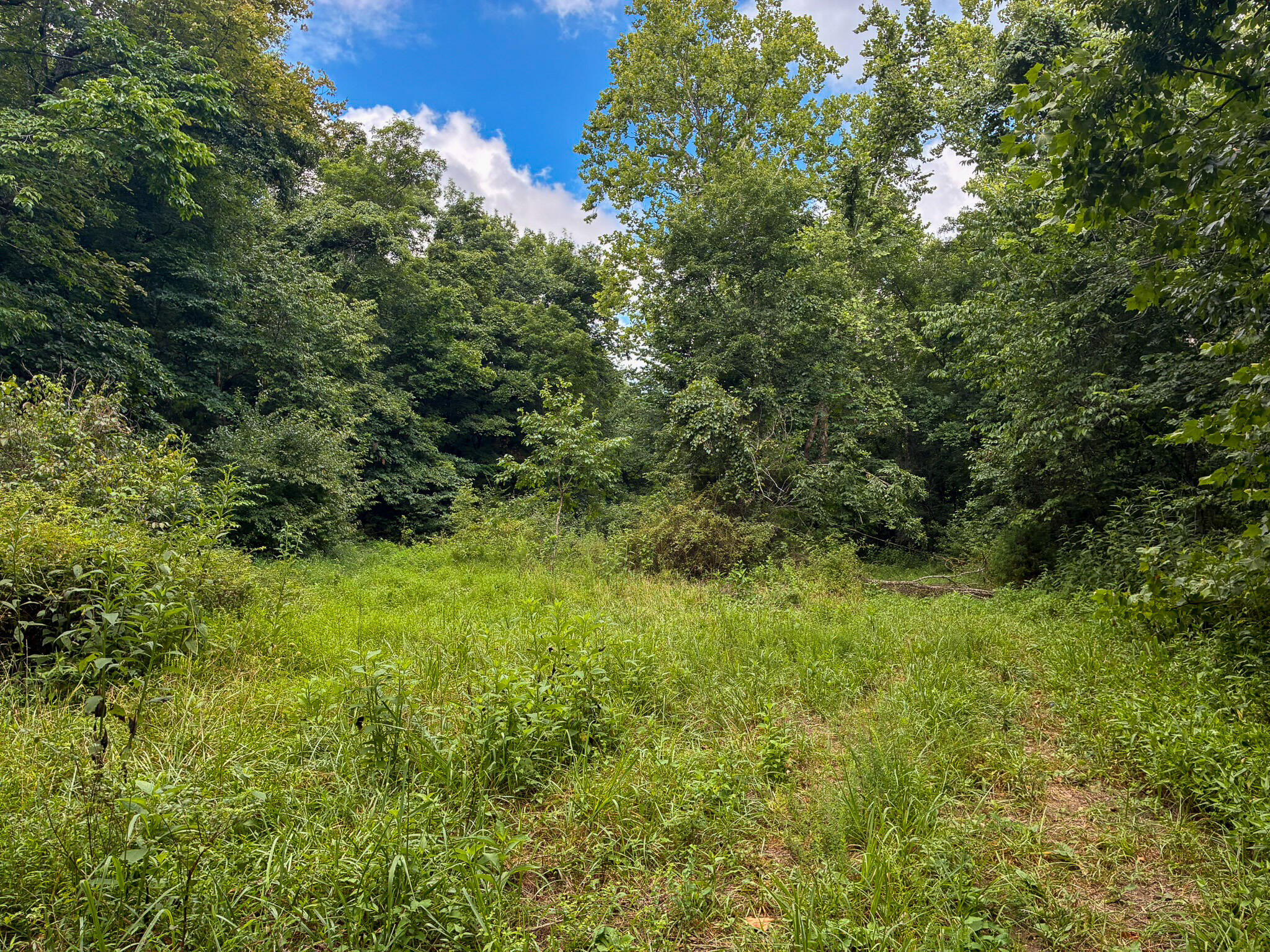 121 Legacy Farm Rd Property Photo 34