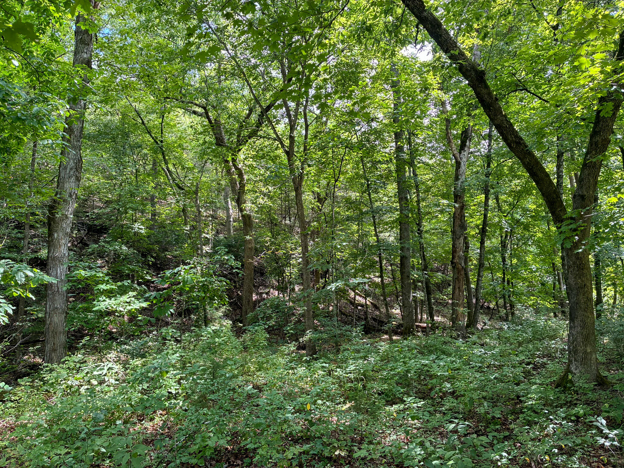 121 Legacy Farm Rd Property Photo 42