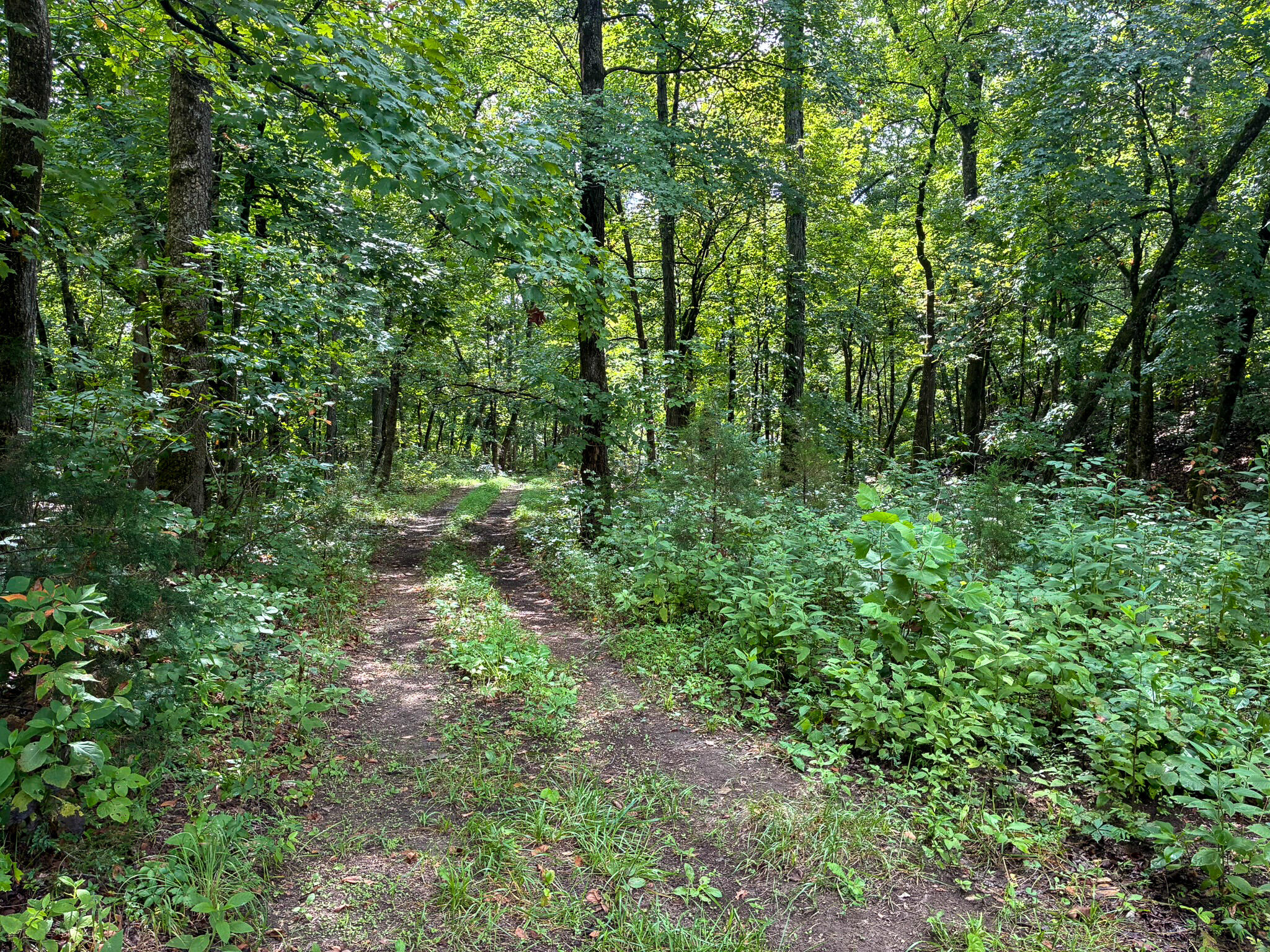 121 Legacy Farm Rd Property Photo 43