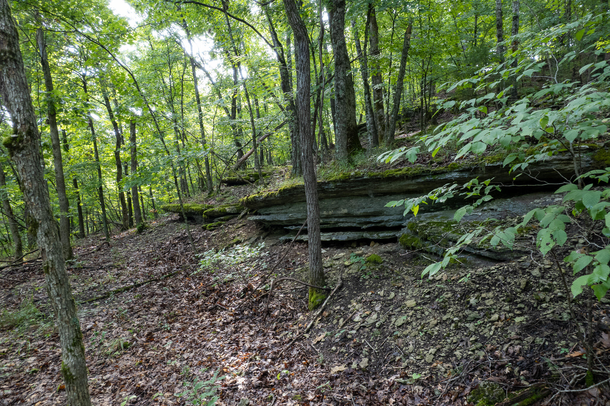 121 Legacy Farm Rd Property Photo 47