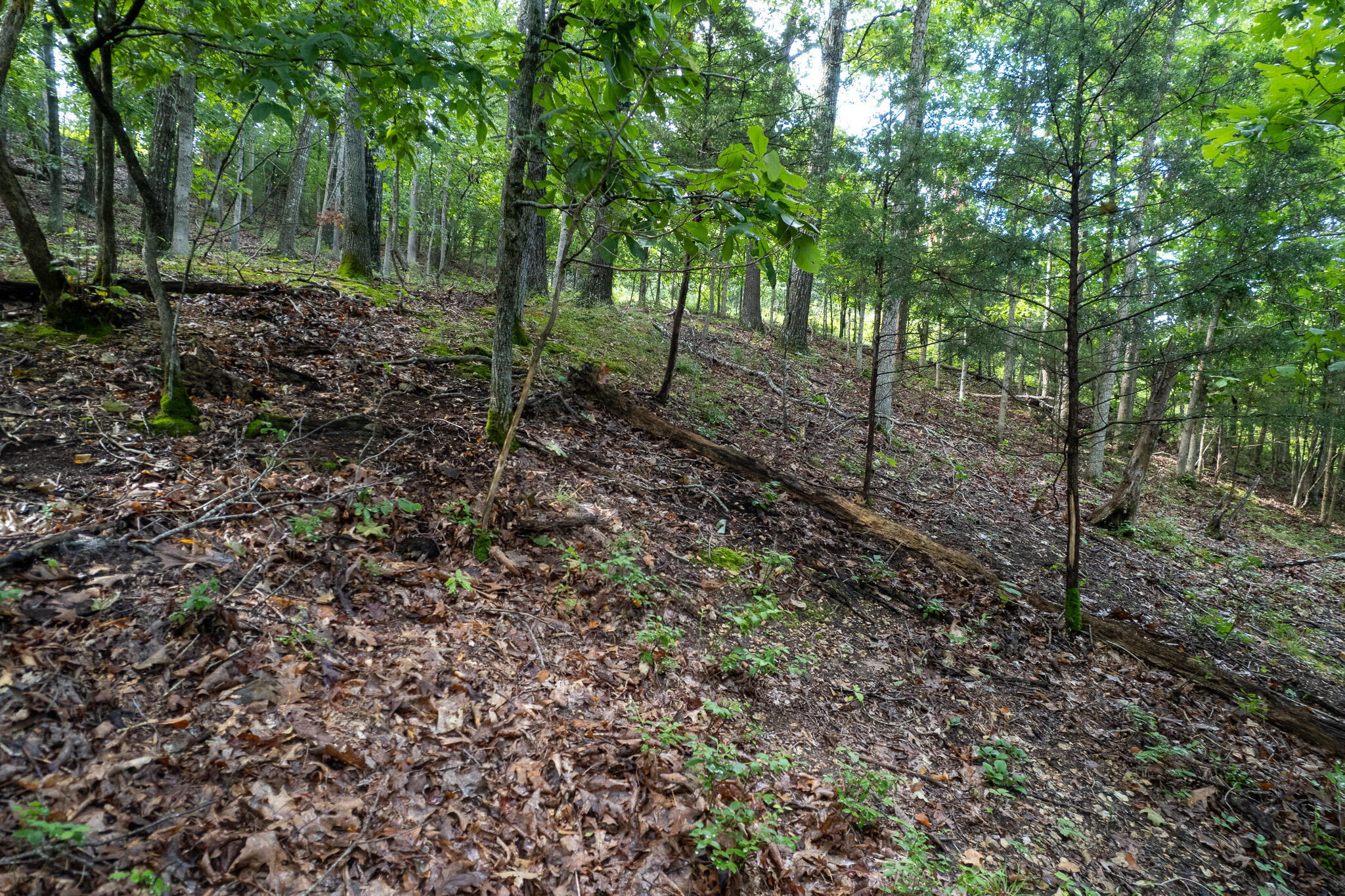 121 Legacy Farm Rd Property Photo 50