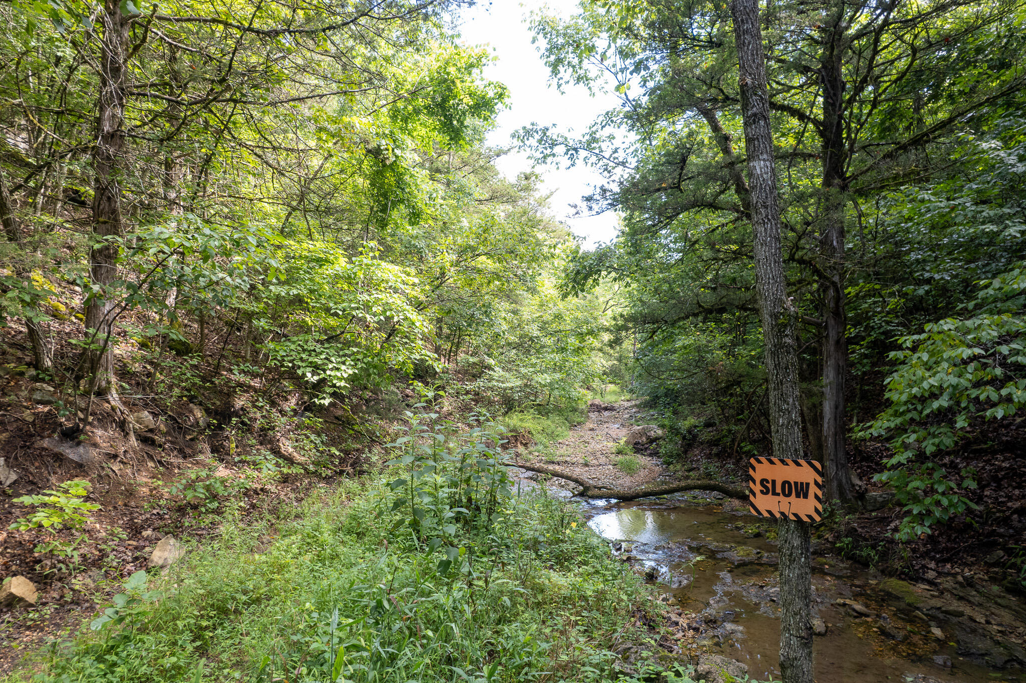 121 Legacy Farm Rd Property Photo 52