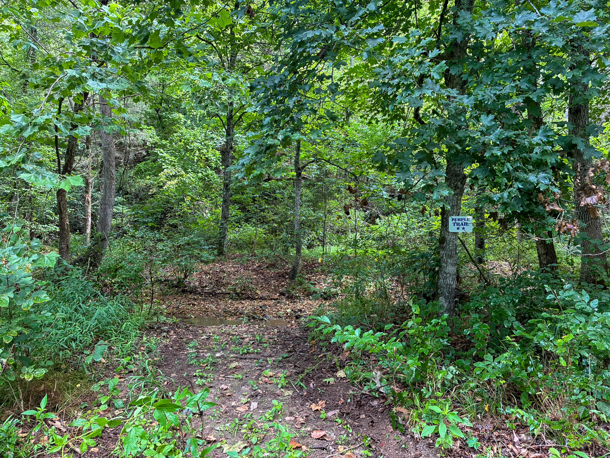 121 Legacy Farm Rd Property Photo 56