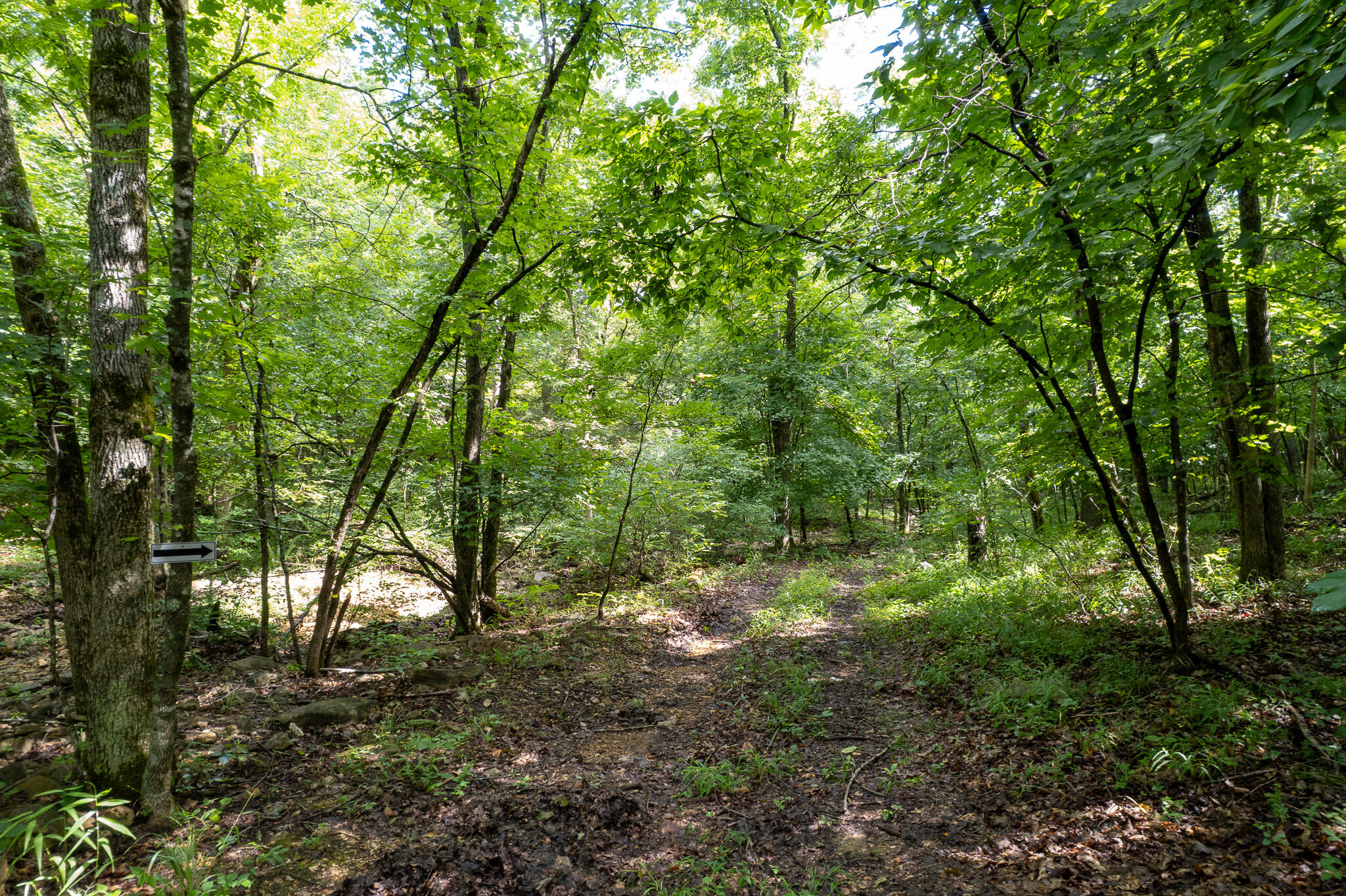 121 Legacy Farm Rd Property Photo 57