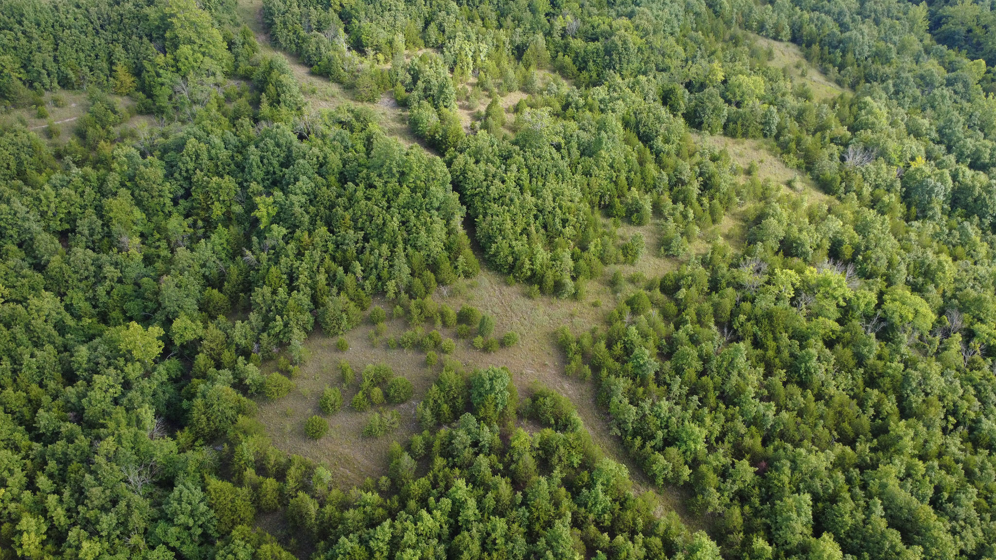 000 Highway 5 Property Photo 5