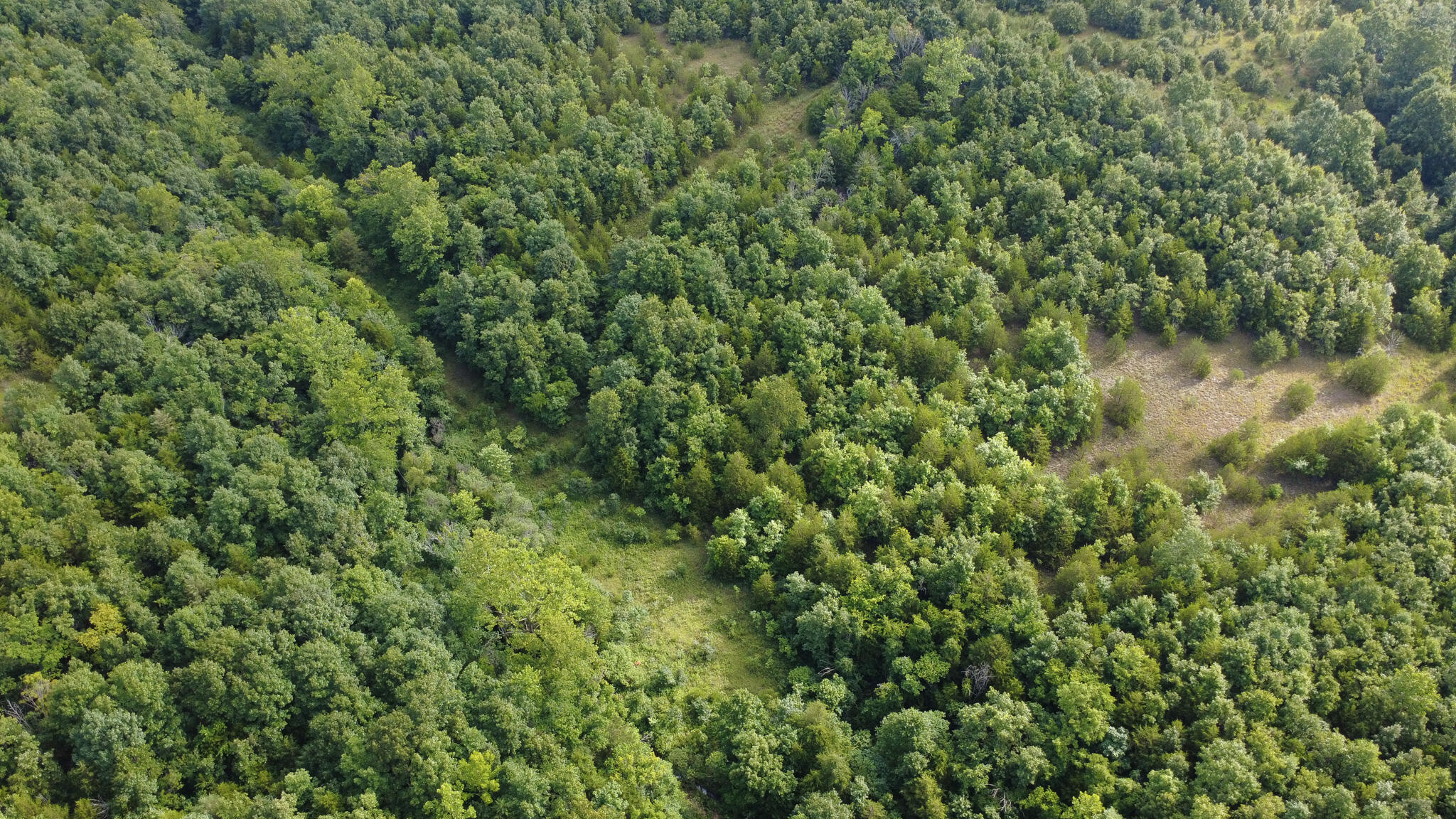 000 Highway 5 Property Photo 6