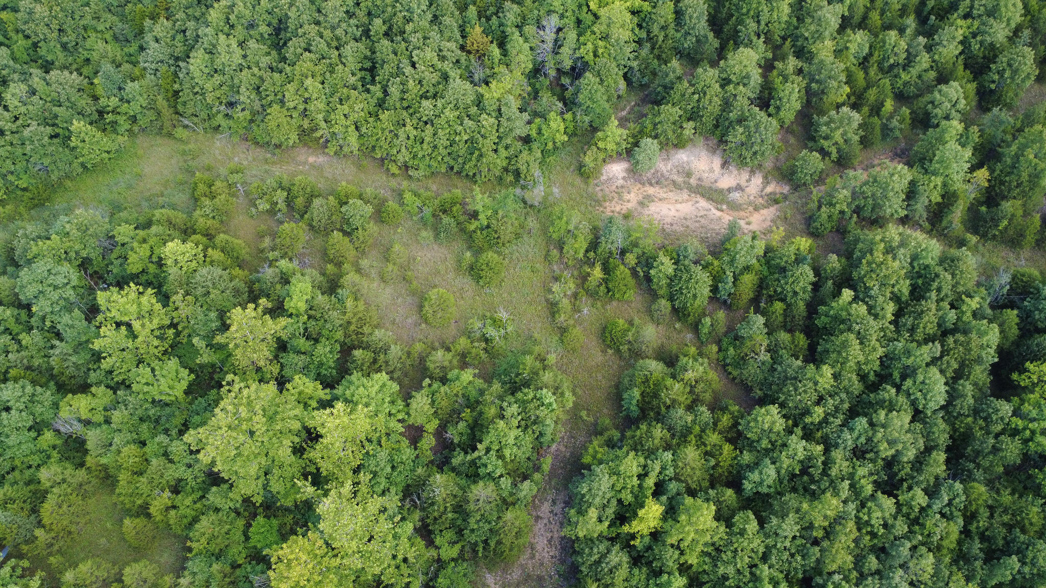 000 Highway 5 Property Photo 9