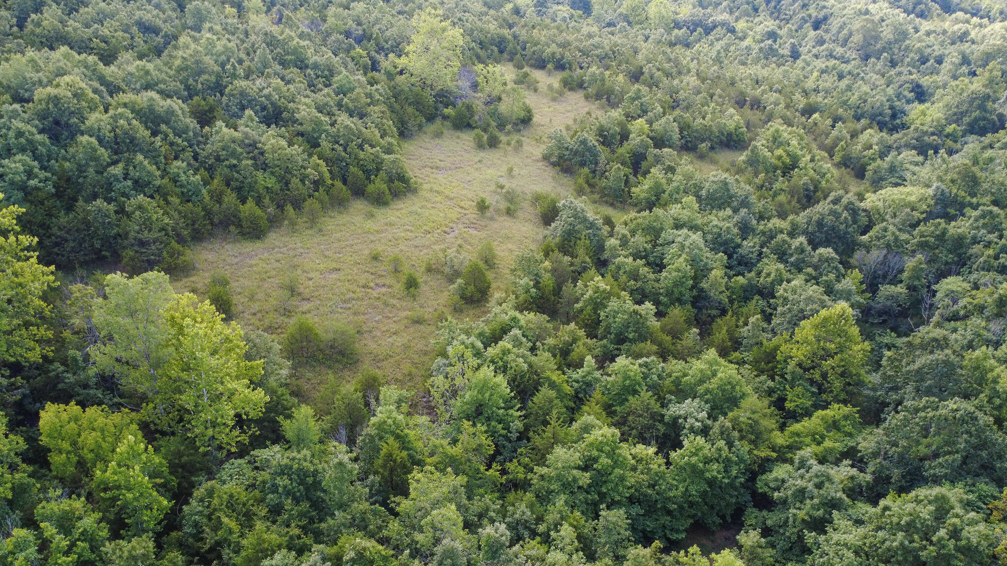 000 Highway 5 Property Photo 10