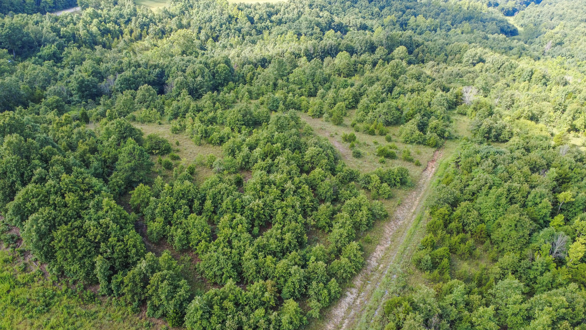 000 Highway 5 Property Photo 15