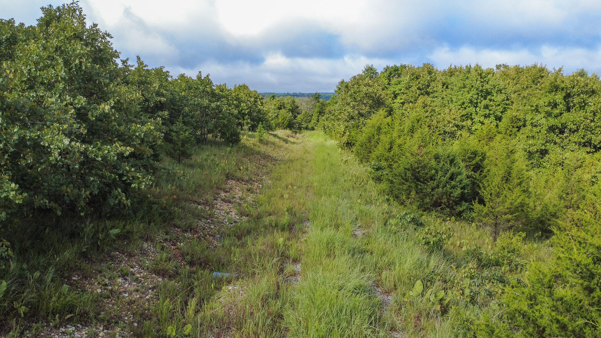 000 Highway 5 Property Photo 16