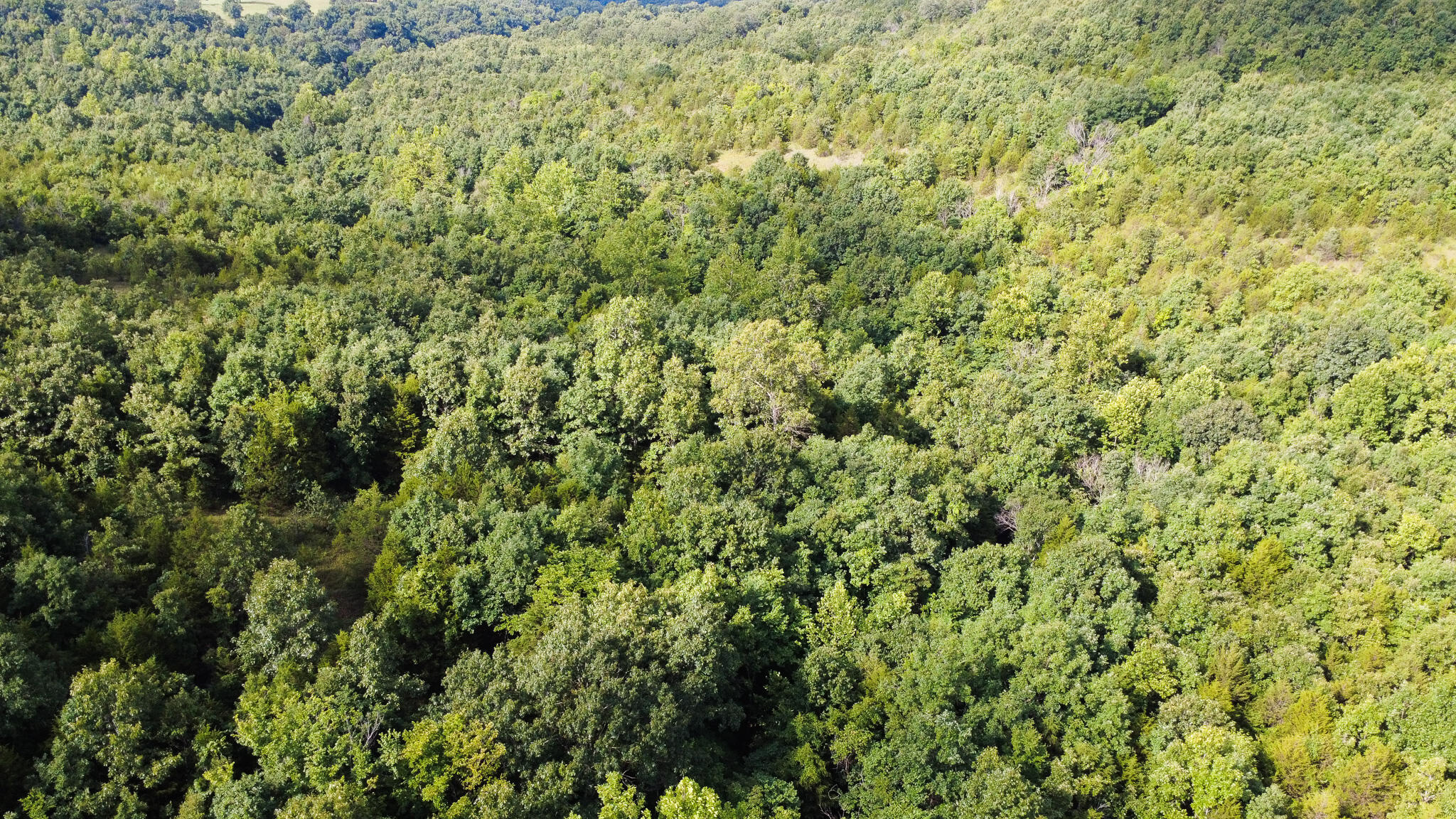 000 Highway 5 Property Photo 17