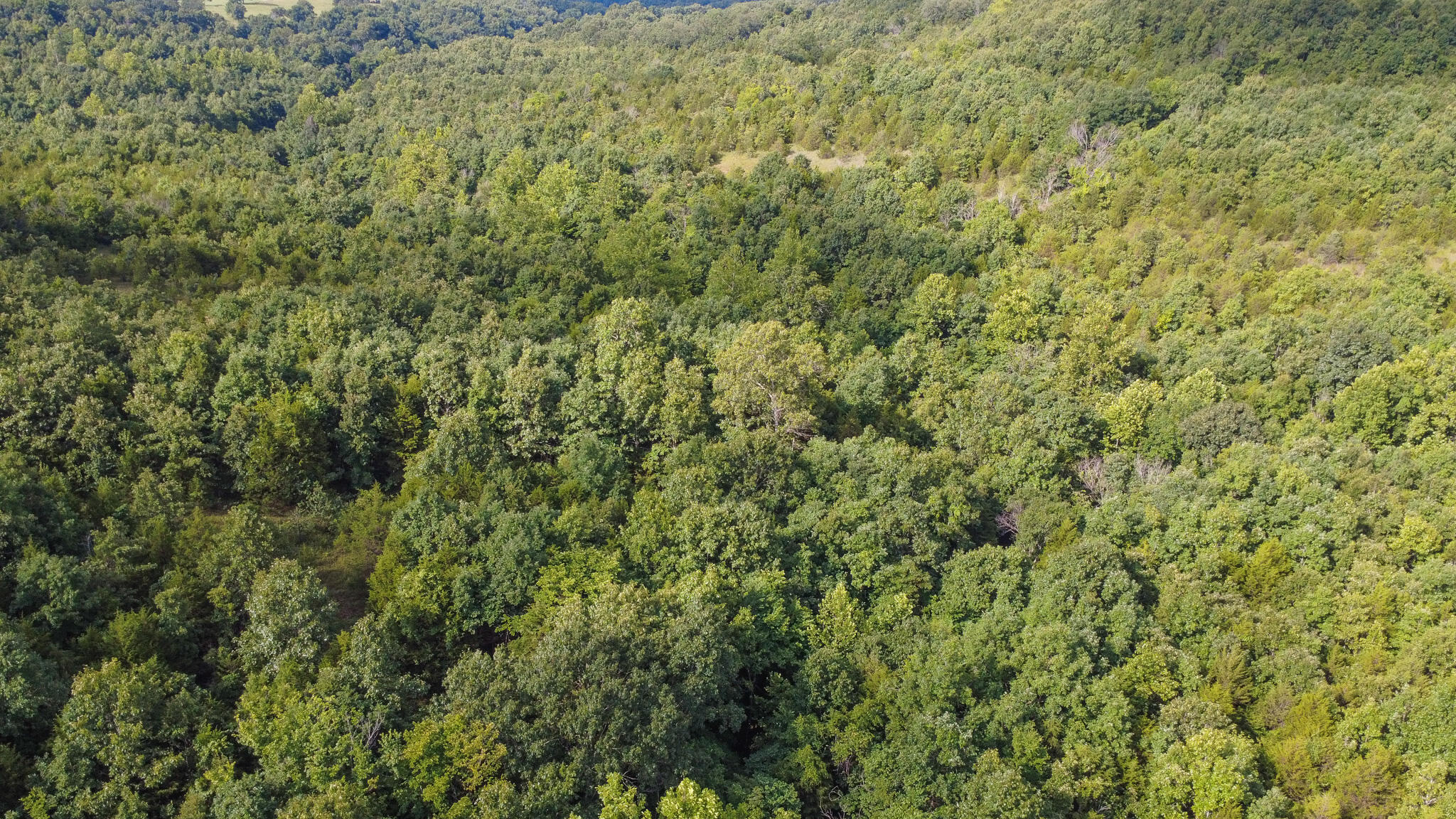 000 Highway 5 Property Photo 18
