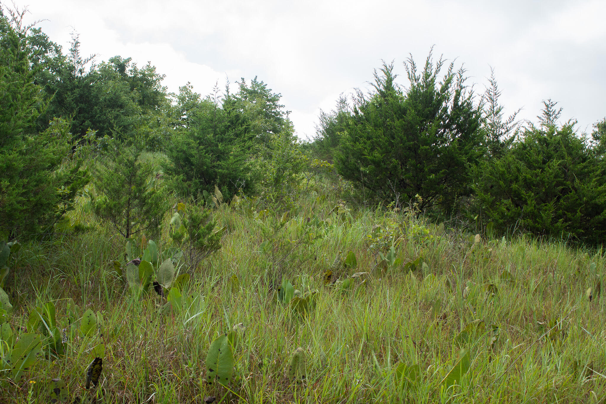 000 Highway 5 Property Photo 20