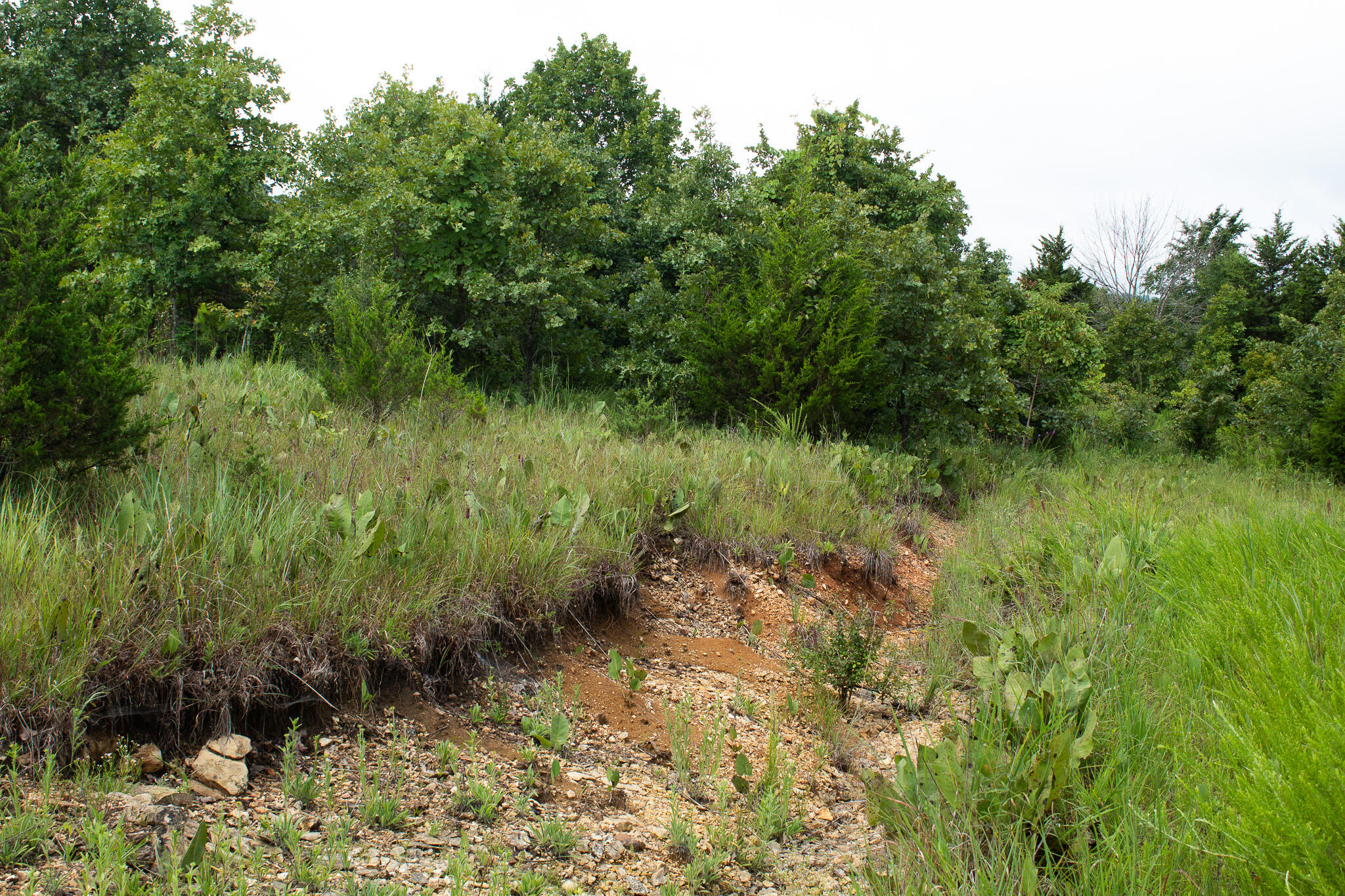 000 Highway 5 Property Photo 21