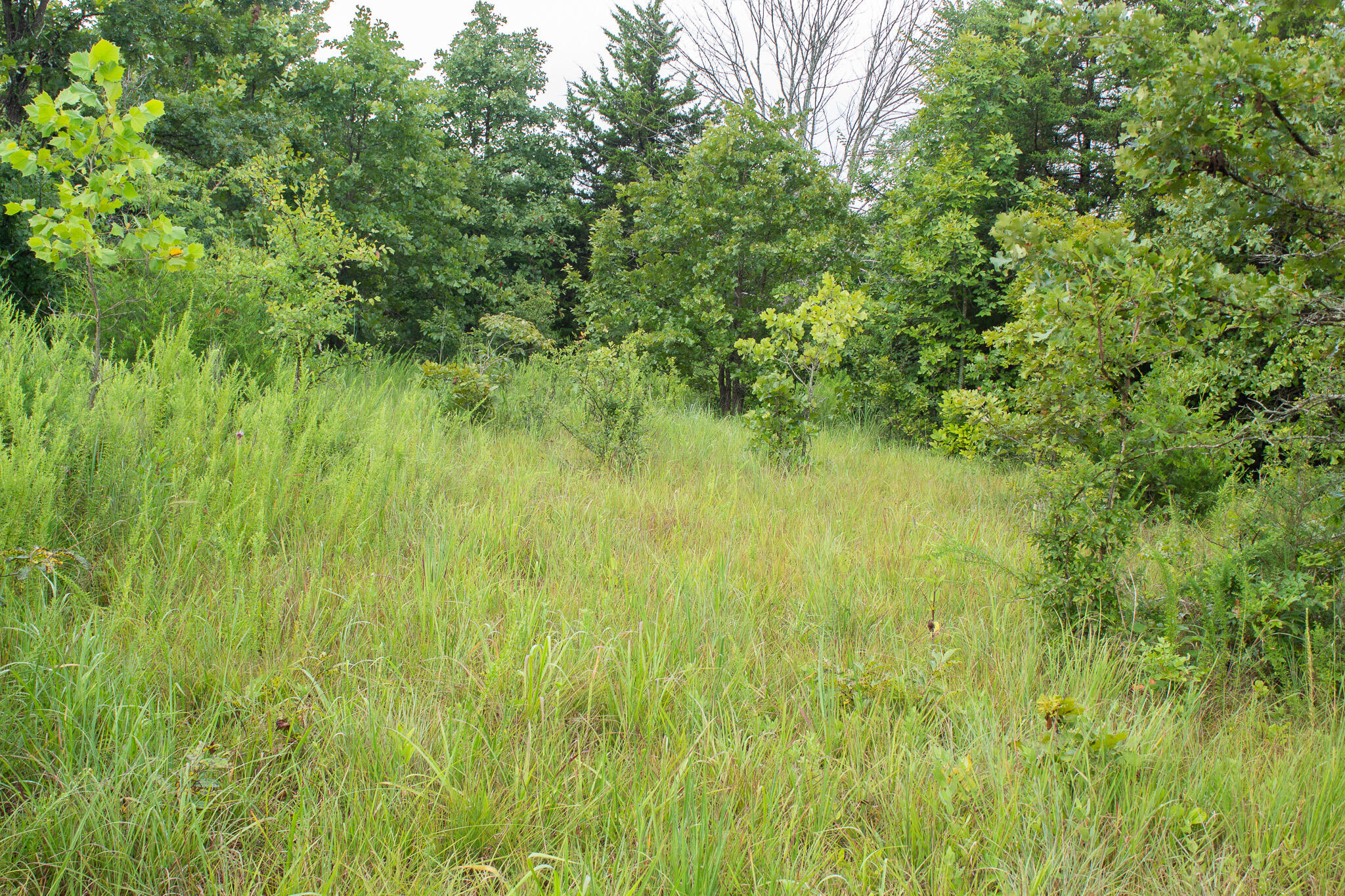000 Highway 5 Property Photo 23