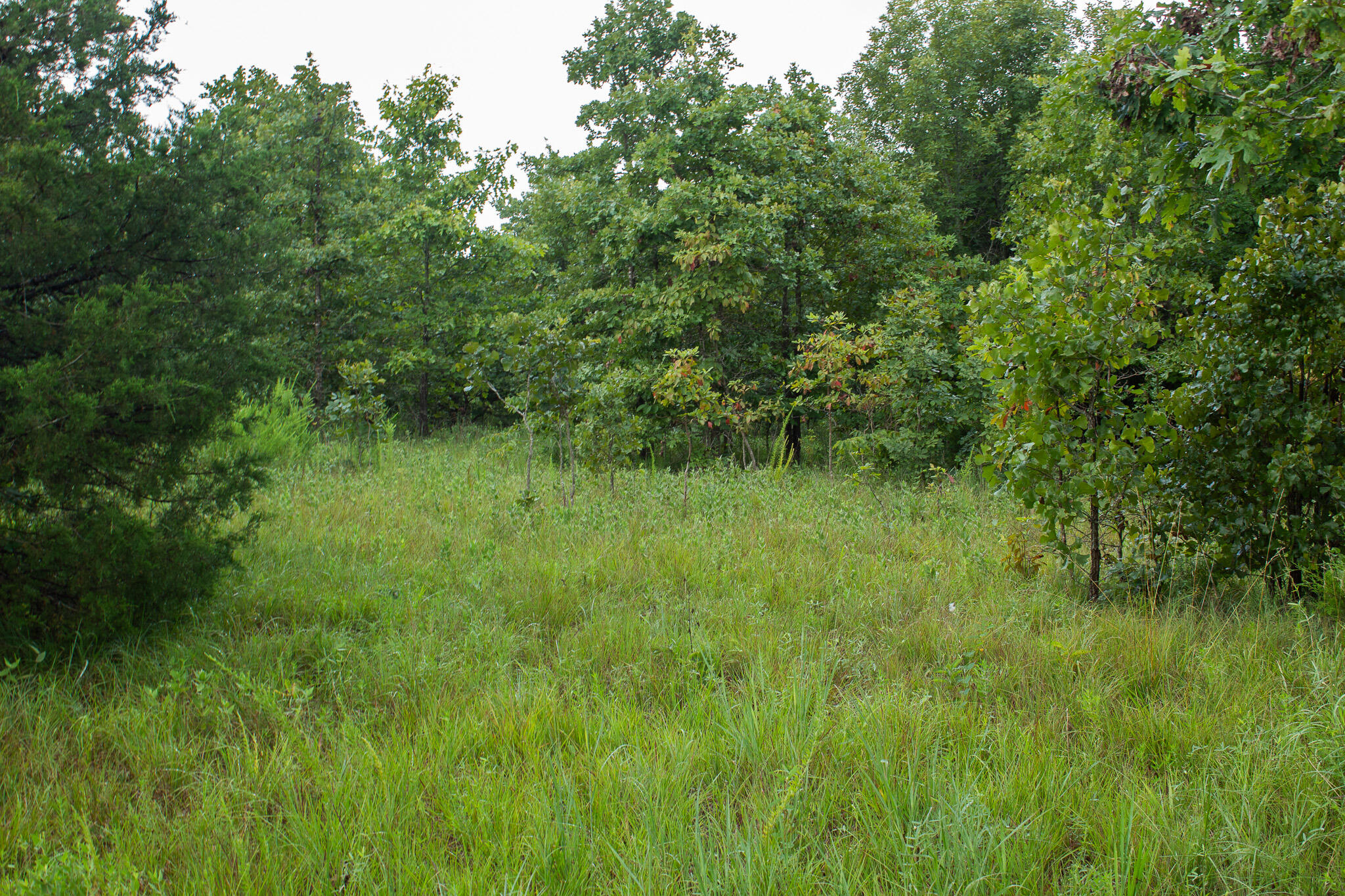 000 Highway 5 Property Photo 26