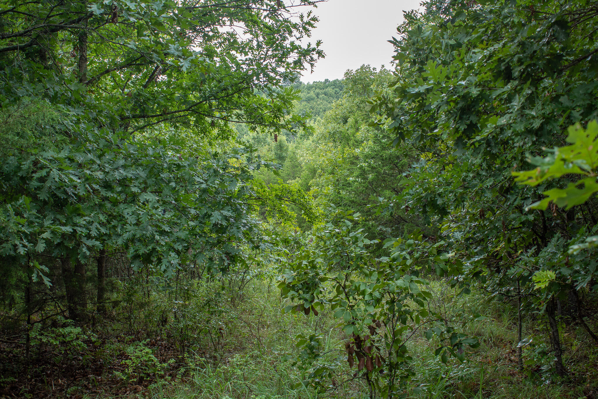 000 Highway 5 Property Photo 28