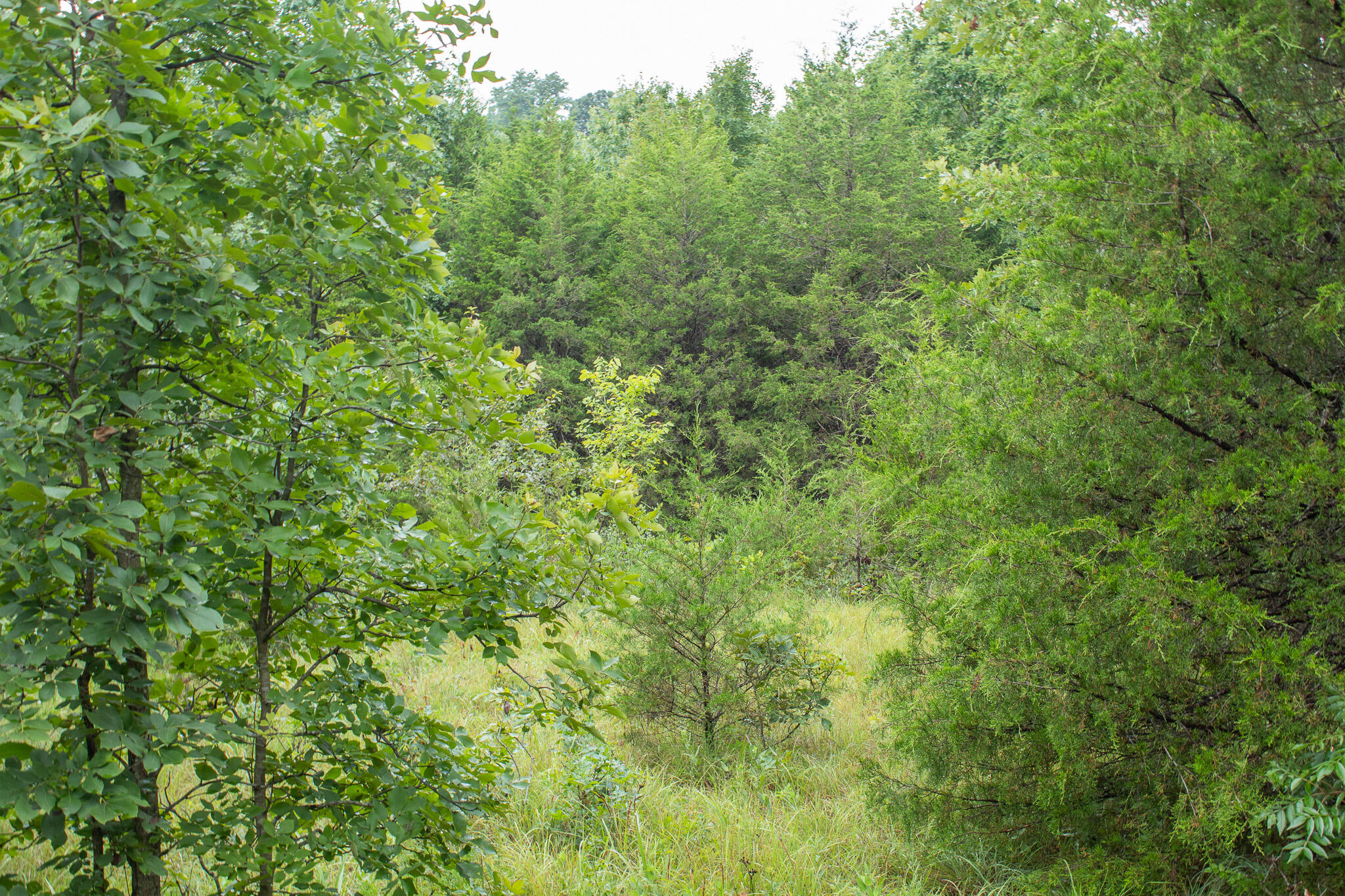 000 Highway 5 Property Photo 29