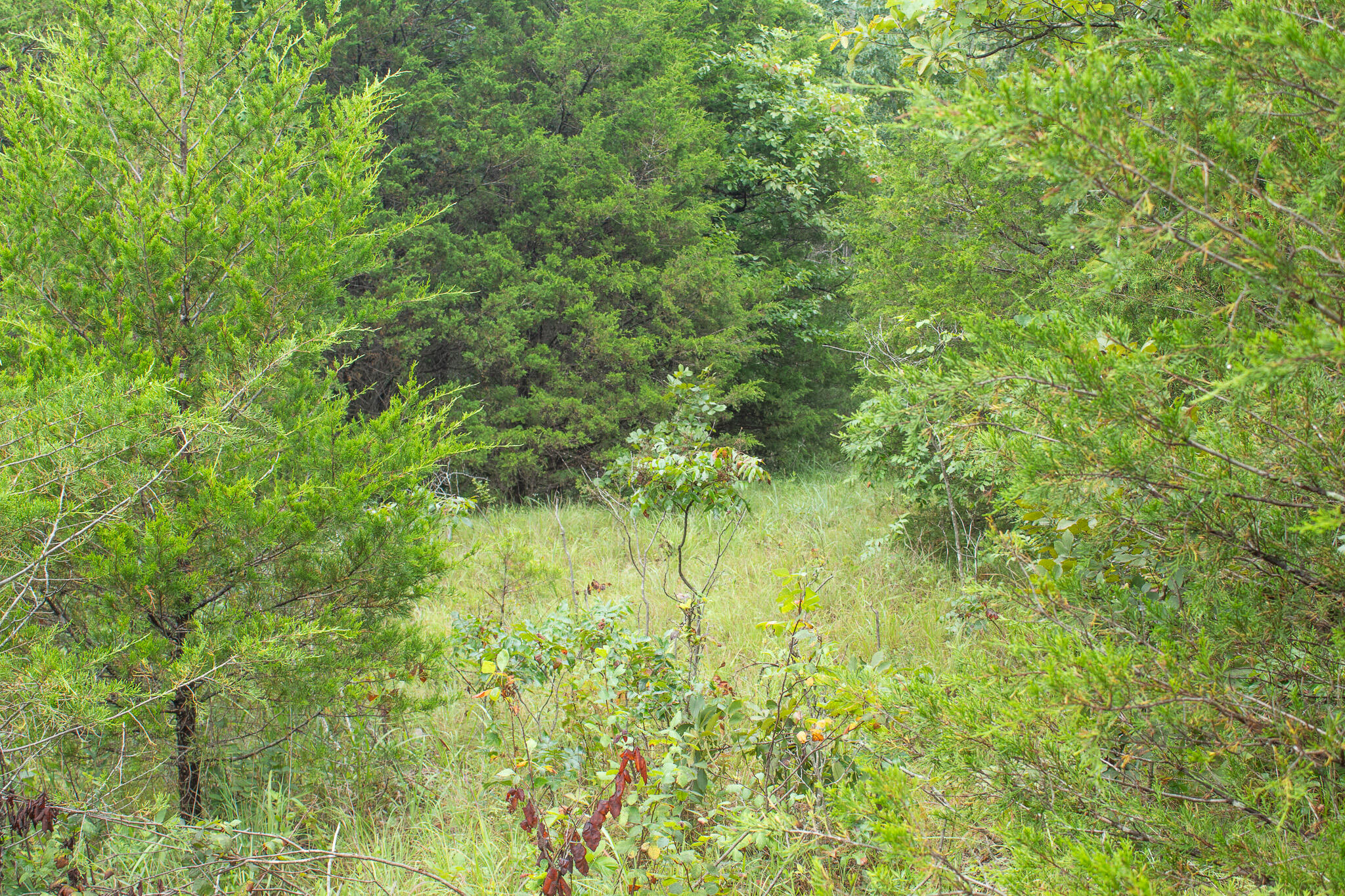 000 Highway 5 Property Photo 30