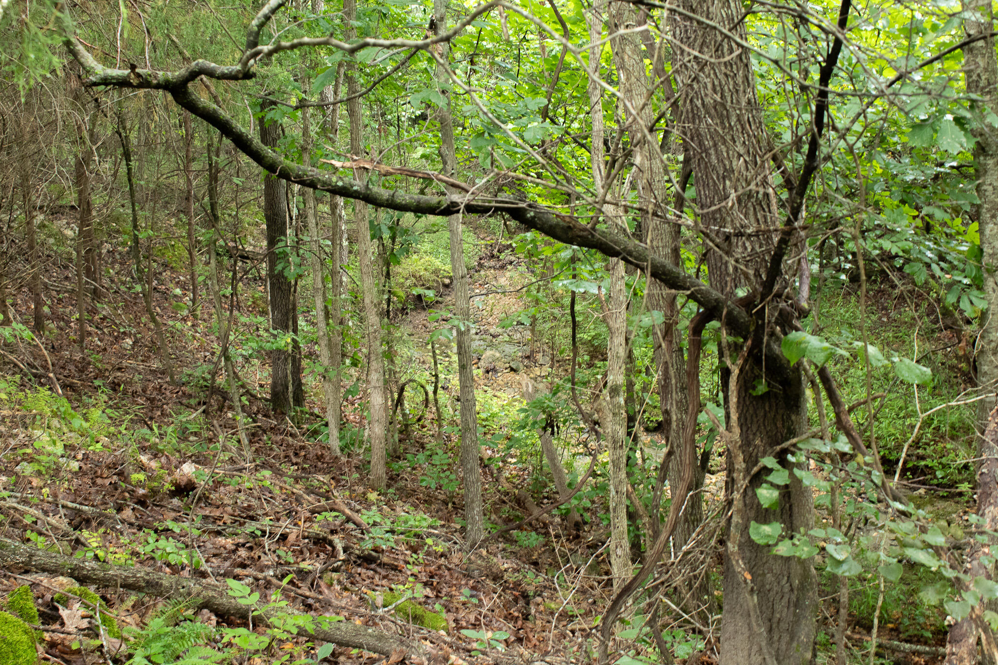 000 Highway 5 Property Photo 31