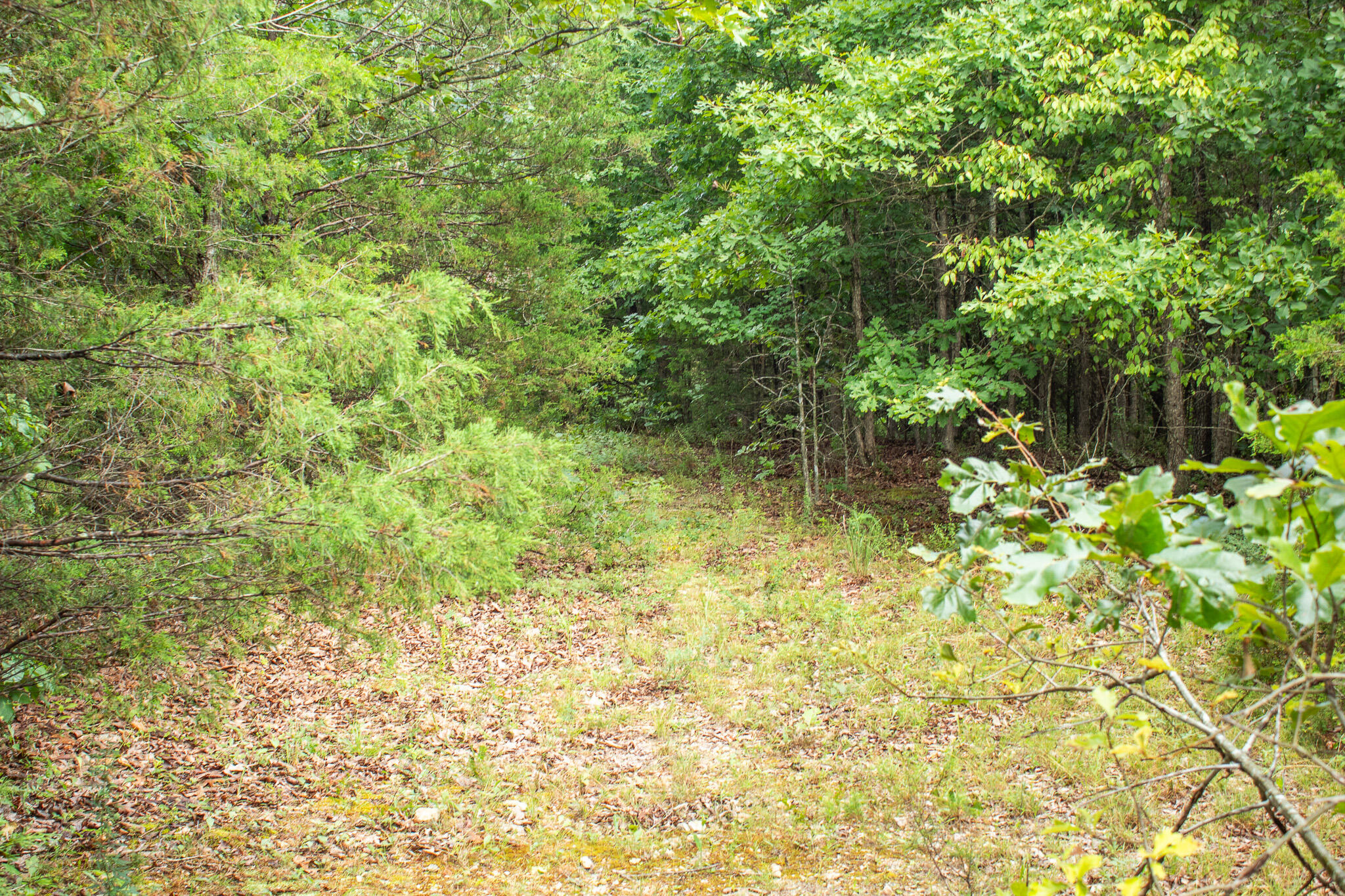 000 Highway 5 Property Photo 32
