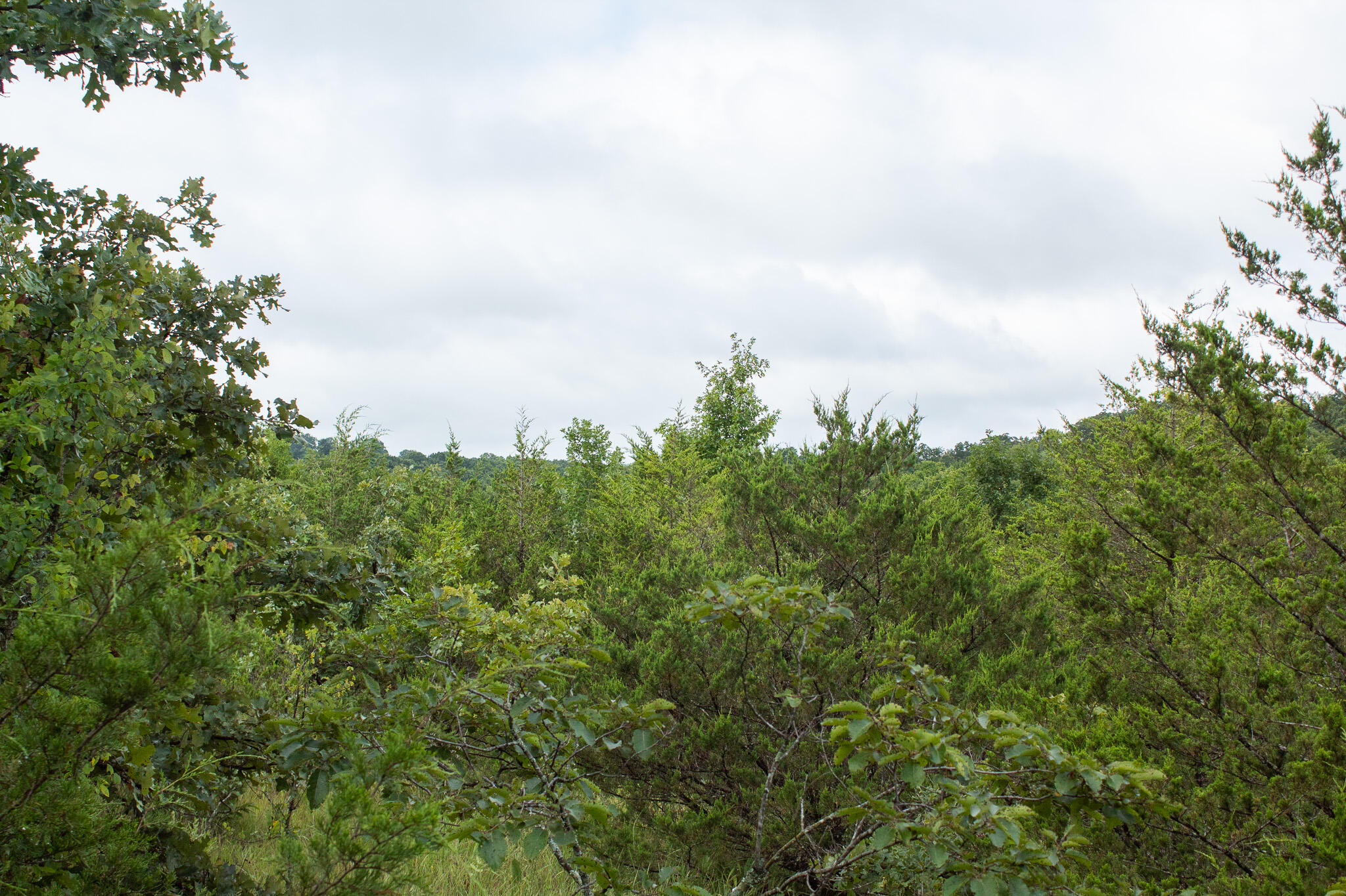 000 Highway 5 Property Photo 37